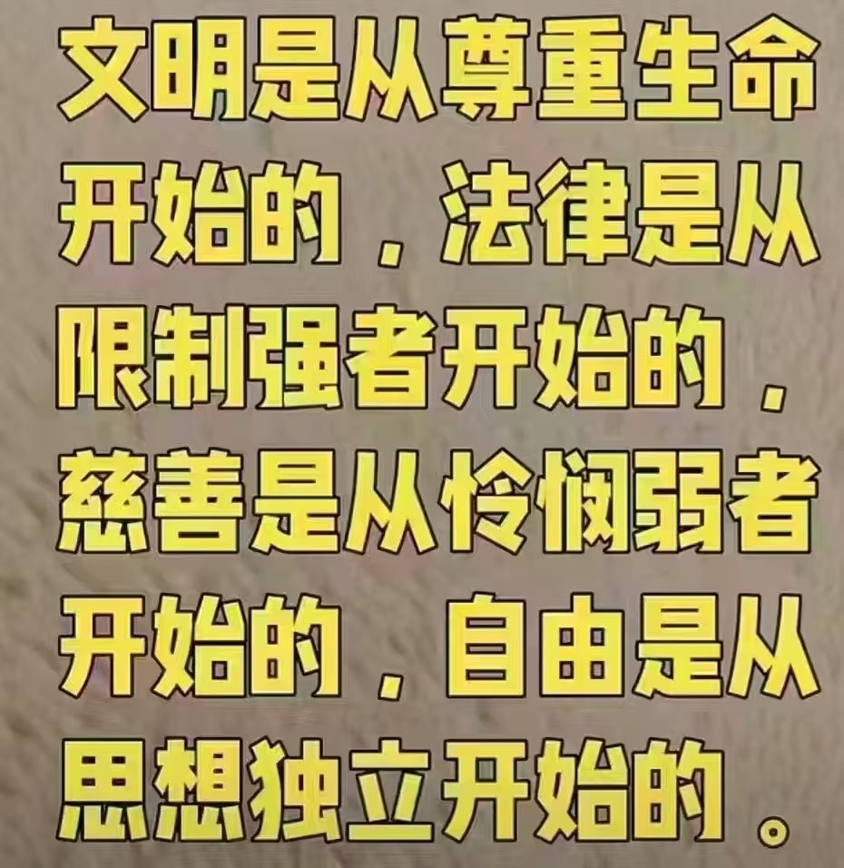 今日金句 ​​​
