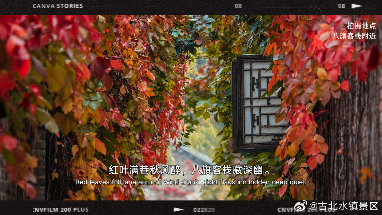 秋风轻吟，红叶低语#古北水镇# 在秋的笔触下铺展出一幕幕引人入胜的画卷小北带大家
