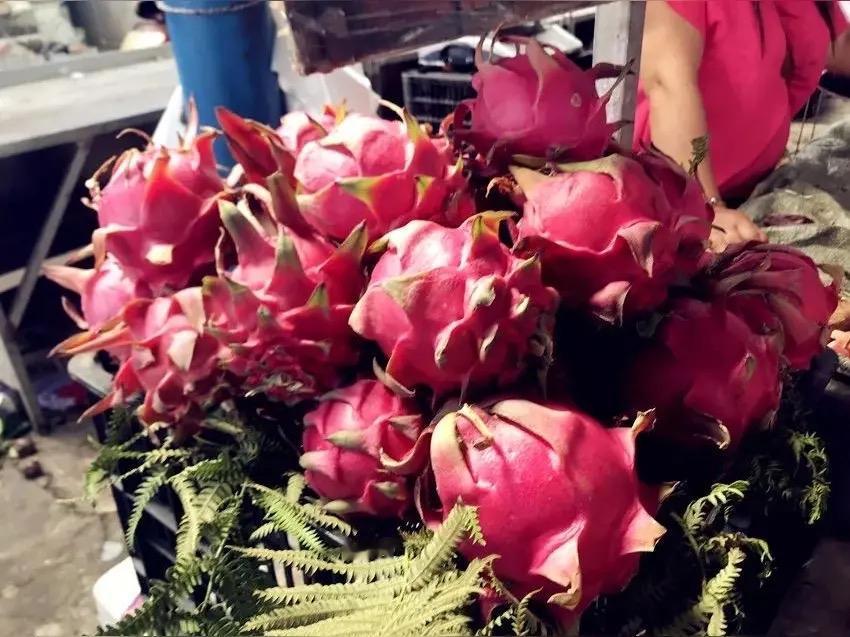 安徽，小男孩想吃火龙果，问妈妈“贵不贵？”妈妈下意识地说了一句有点贵，结果小男孩