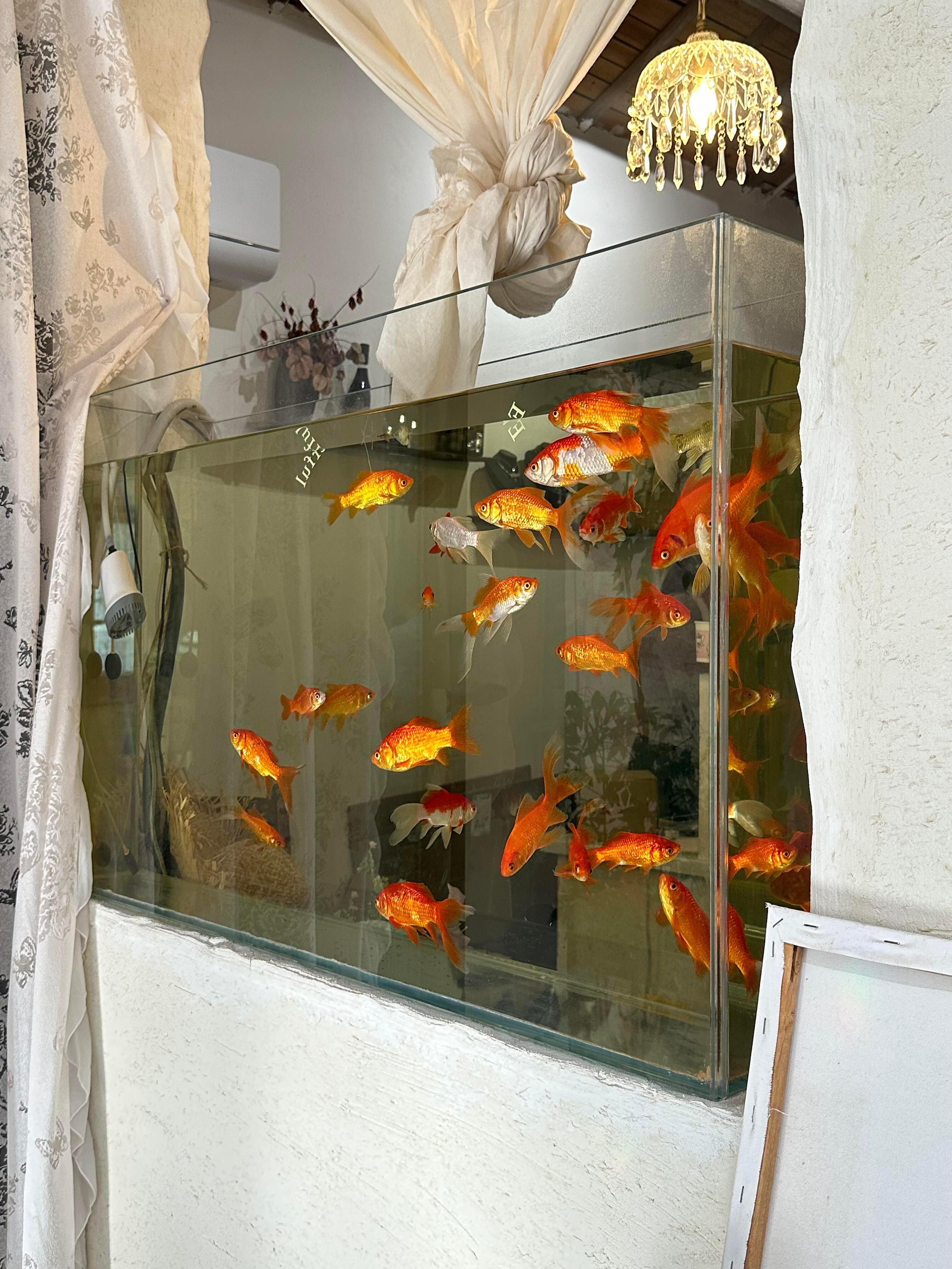 𝐿𝑜𝓋𝑒 𝓎𝑜𝓊𝓇𝓈𝑒𝓁𝒻 📷 ◡̈人生不是擂台 开心