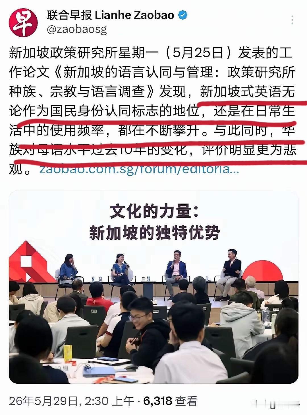 新加坡变味了！从华人主导的多元社会，到如今的华人文化从主流退居边缘，不像以前那个