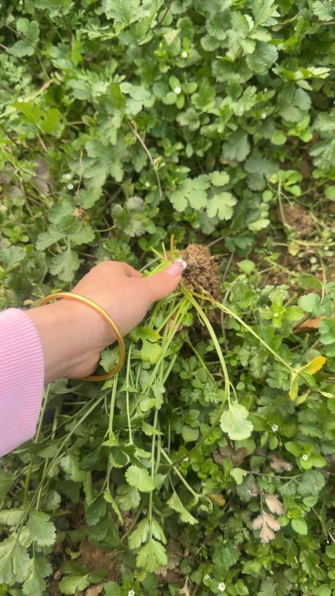 贵州人不能告诉他们哦