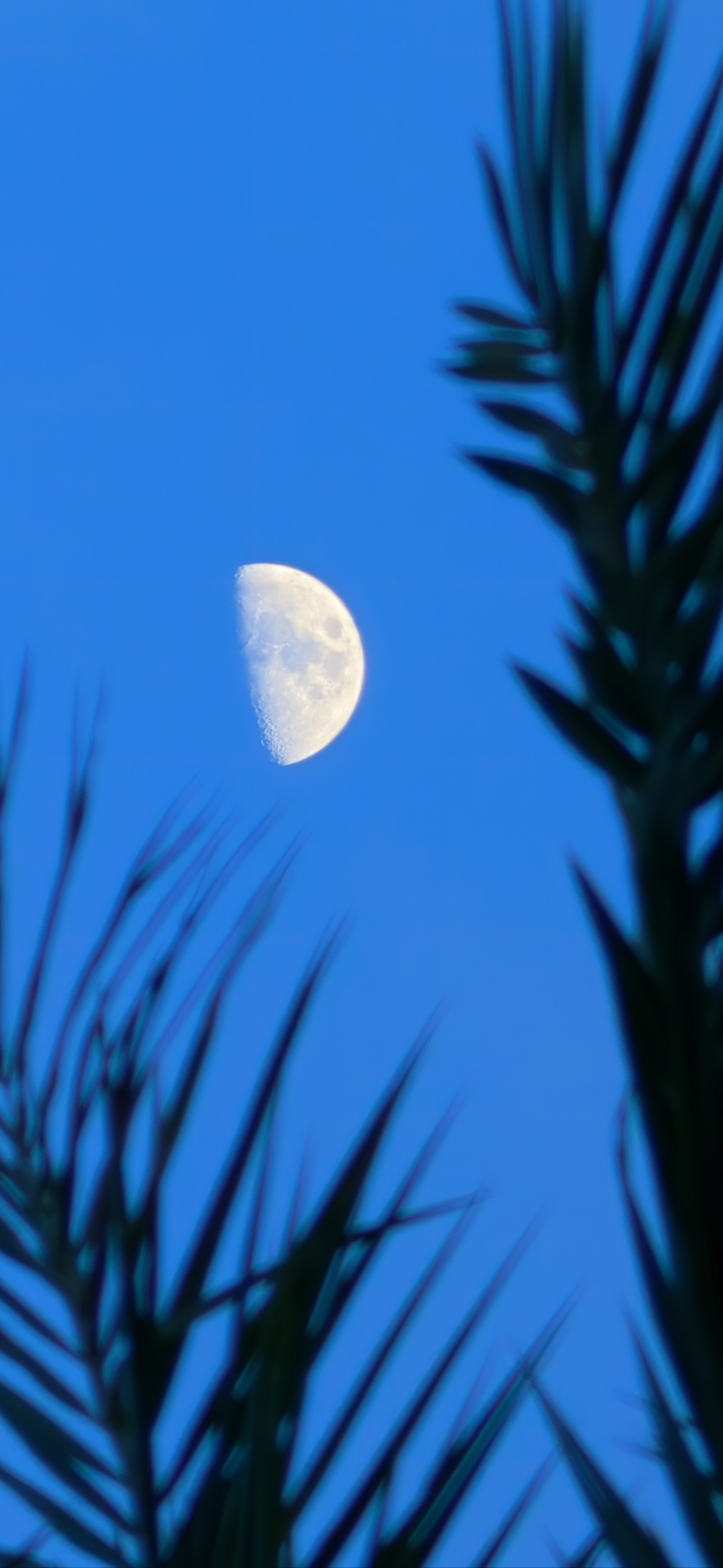 会掉 hdr 吗？ 