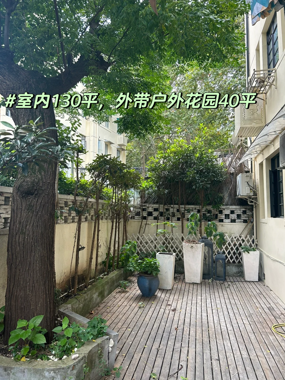 汾阳路9弄/大大大大大的花园