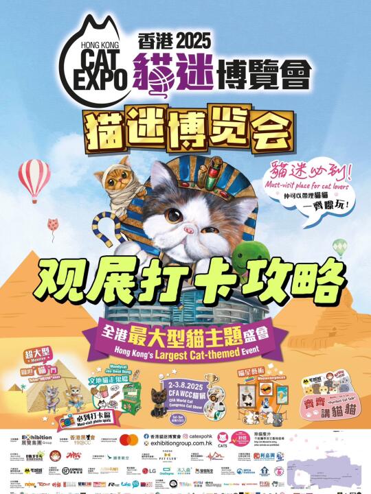 香港猫迷展！猫主题盛会观展打卡攻略🐈