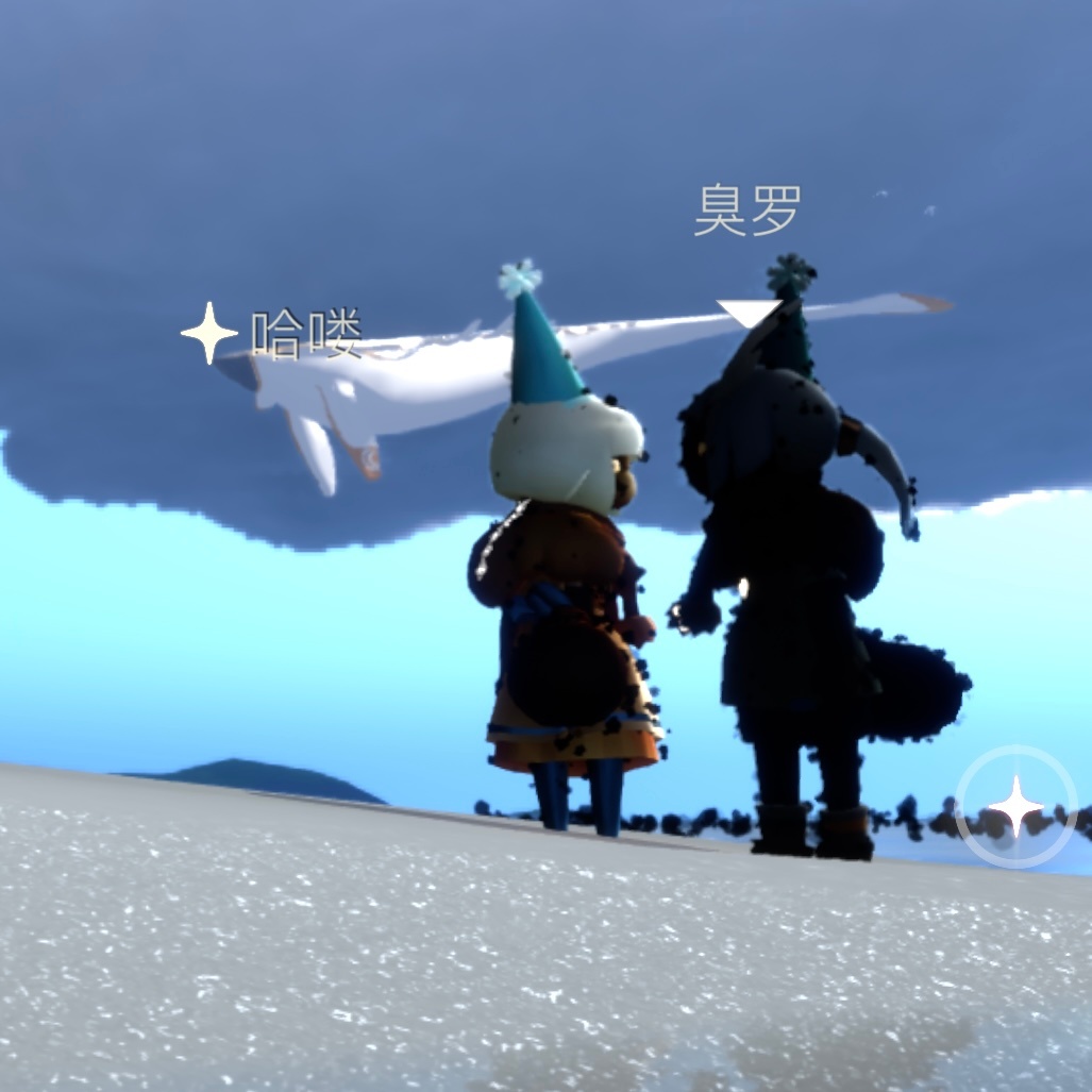 sky光遇[超话]  你们的大鲲都叫什么名字发出来让我看看有多好乐 ​​​