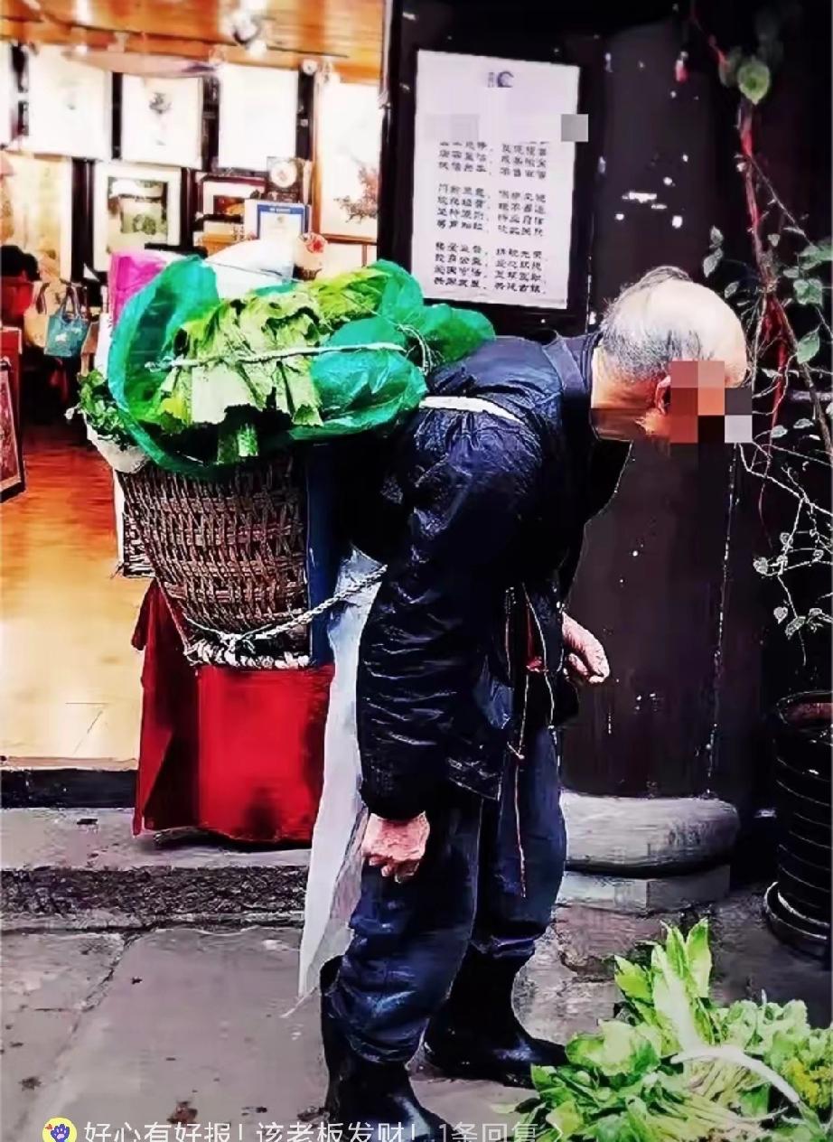 泪目！河南郑州，一68岁卖菜大爷在餐馆躲雨，老板送了一碗牛肉，二两白酒。喝完后，