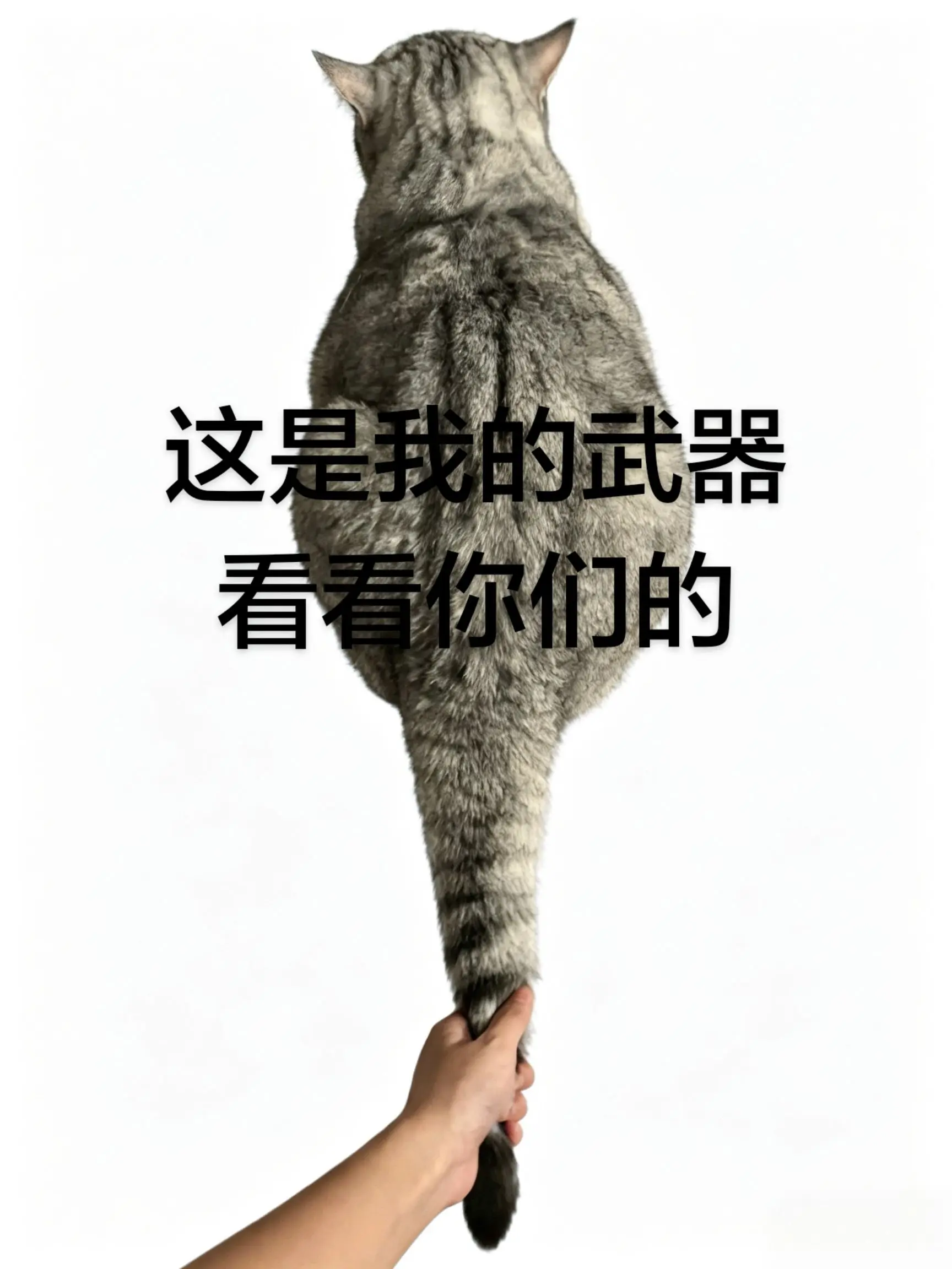 妖魔鬼怪快离开。 拿上你的武器，孩子