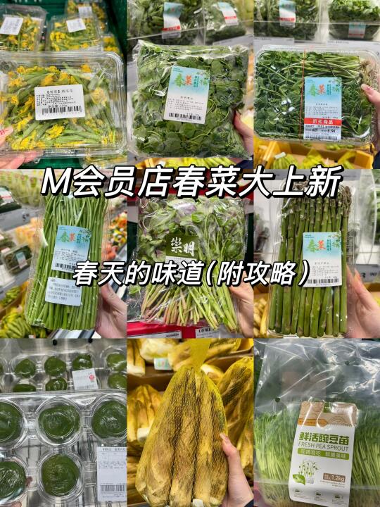 M会员店春菜青团全攻略来啦！！！