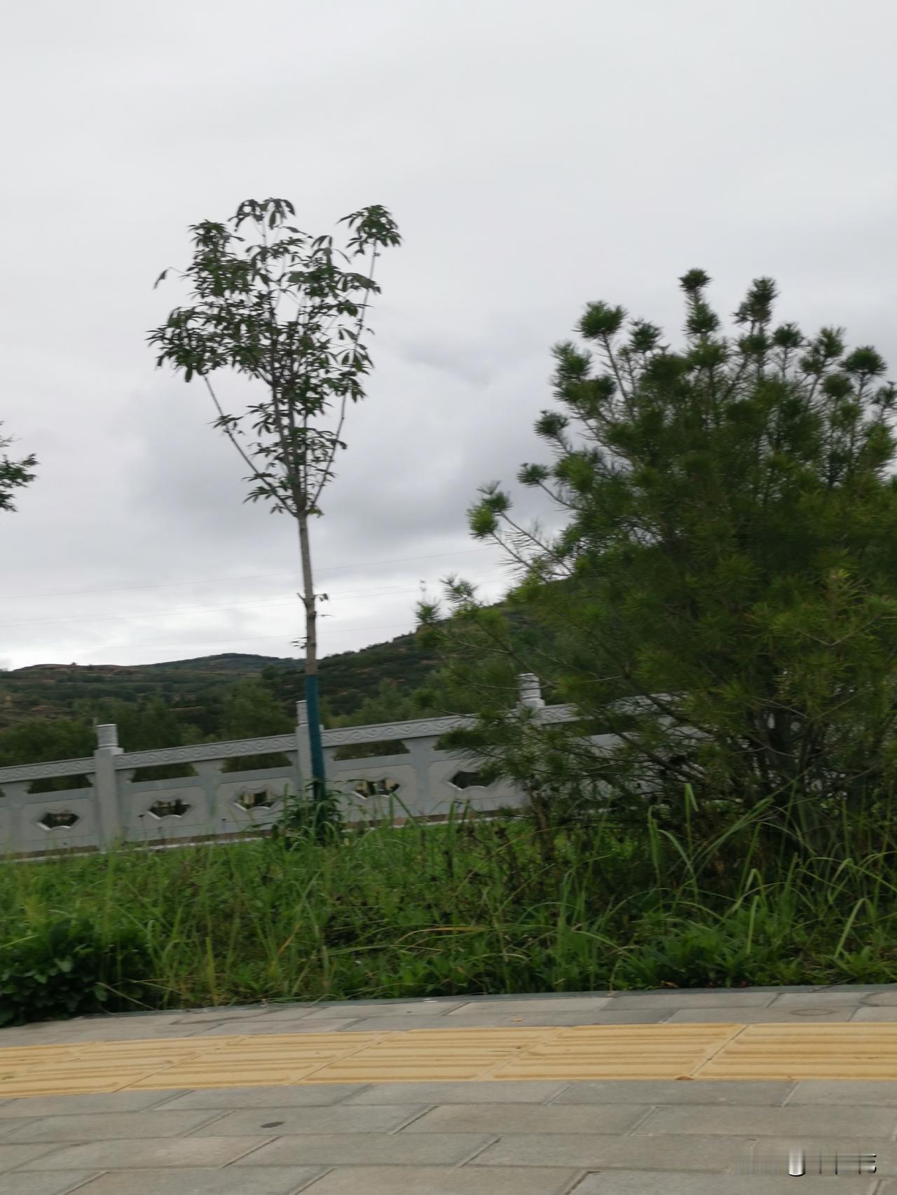今天晚上给娃辅导完作业，刷了一会抖音和快手，平时一直不怎么刷视频，今天实在无聊，