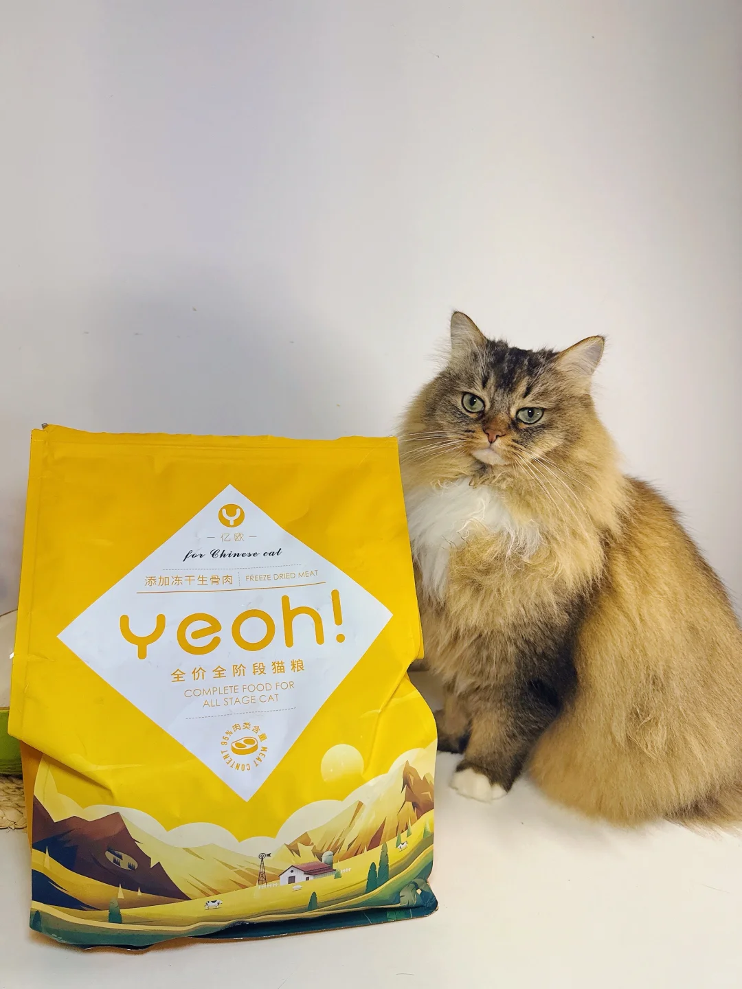 感觉很多人不再买亿欧猫粮了