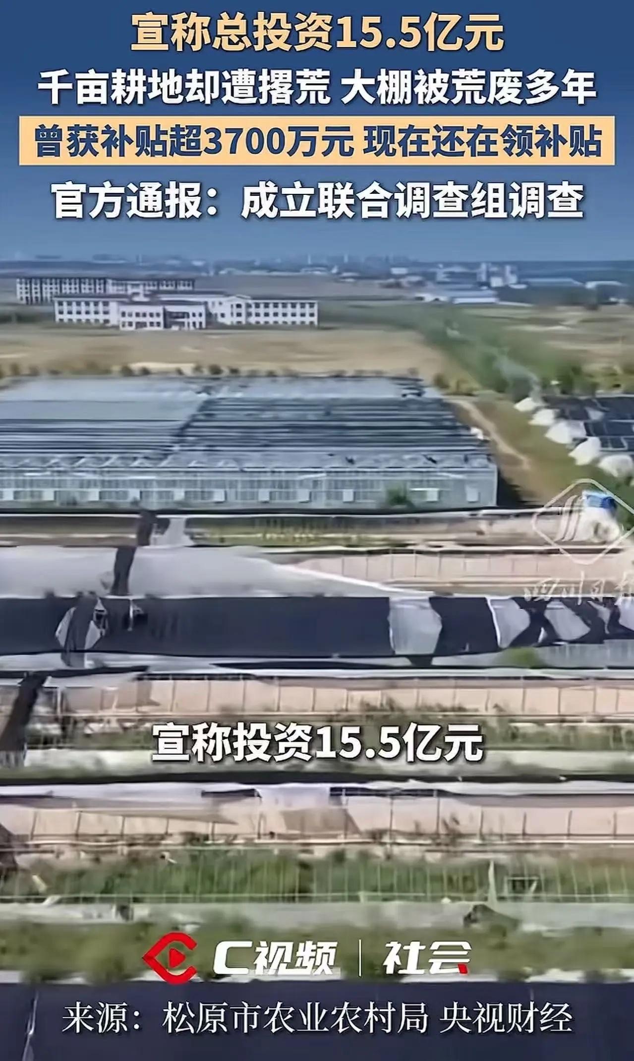 央视彻底揭穿！15亿惠农大棚荒成荒地，3年狂拿3700万补贴，太荒唐！

“终于