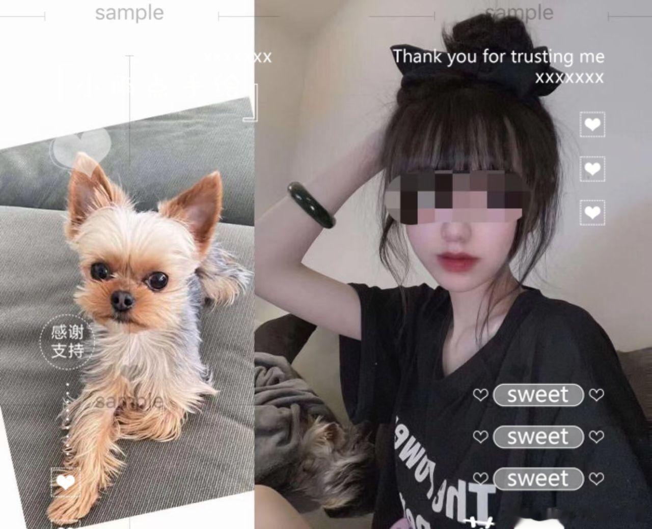 你知道那种感觉吗，明明那个人还在，可以打电话但是第一句话变成了干嘛，可以发信息但