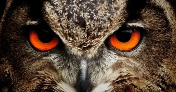 中英双语、29项第一：360 FG-CLIP2登顶全球最强图文跨模态模型