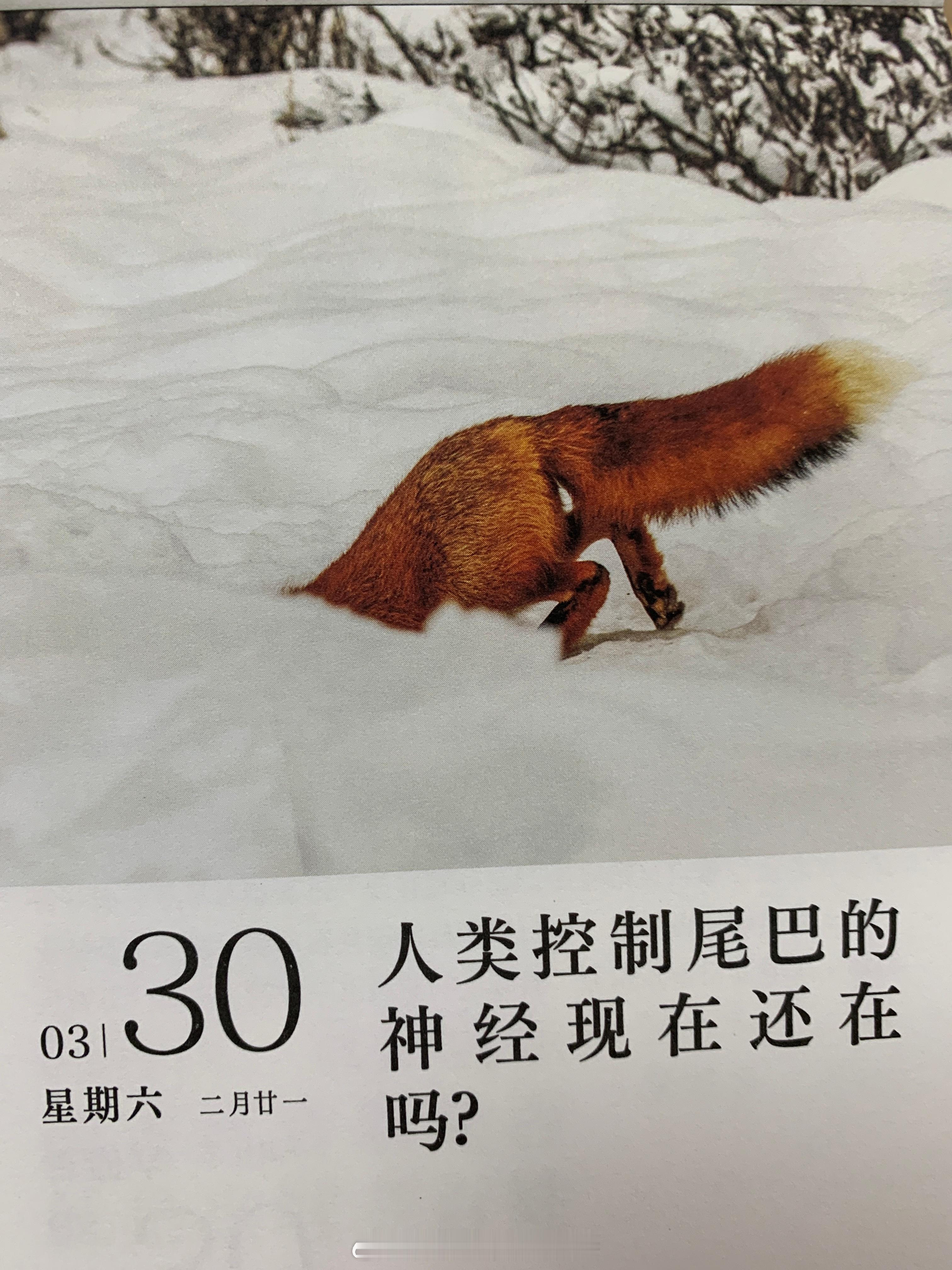 早安朋友们～周末快乐！ ​​​