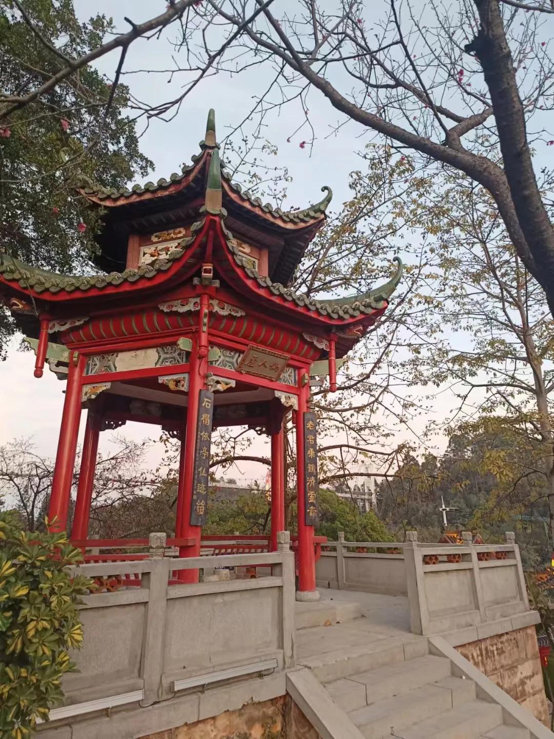 不要过分追求感情浓度，有个词叫“情深不寿”那都是老祖宗总结出来的血泪教训，太深的
