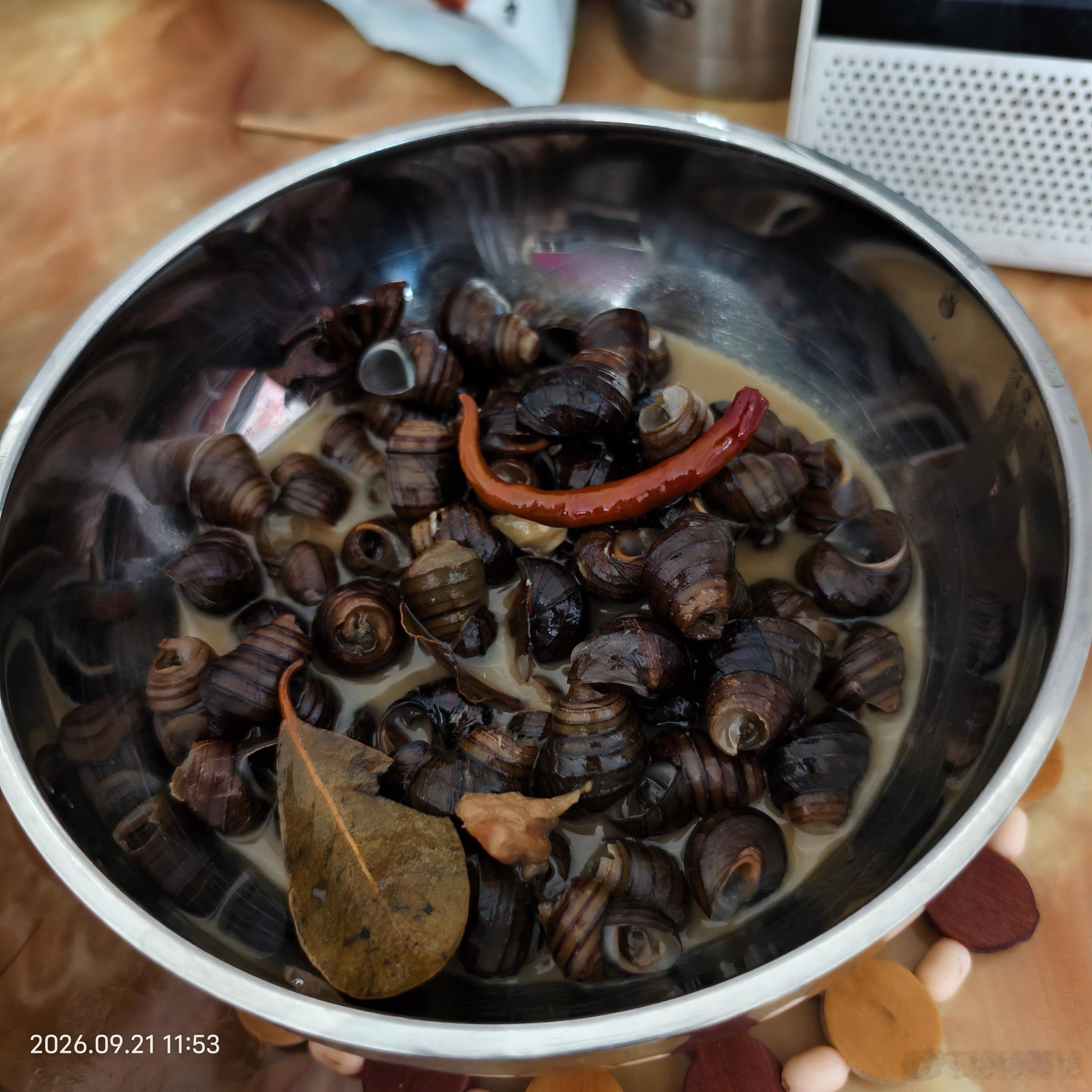 中午有我喜欢的田螺是我家公回老家亲手摸的家婆说：你这样煮xx会喜欢吃嘛？家公说：