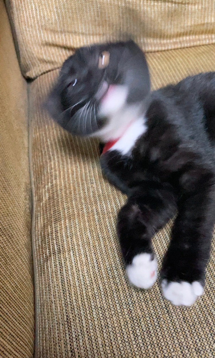 ？ 
