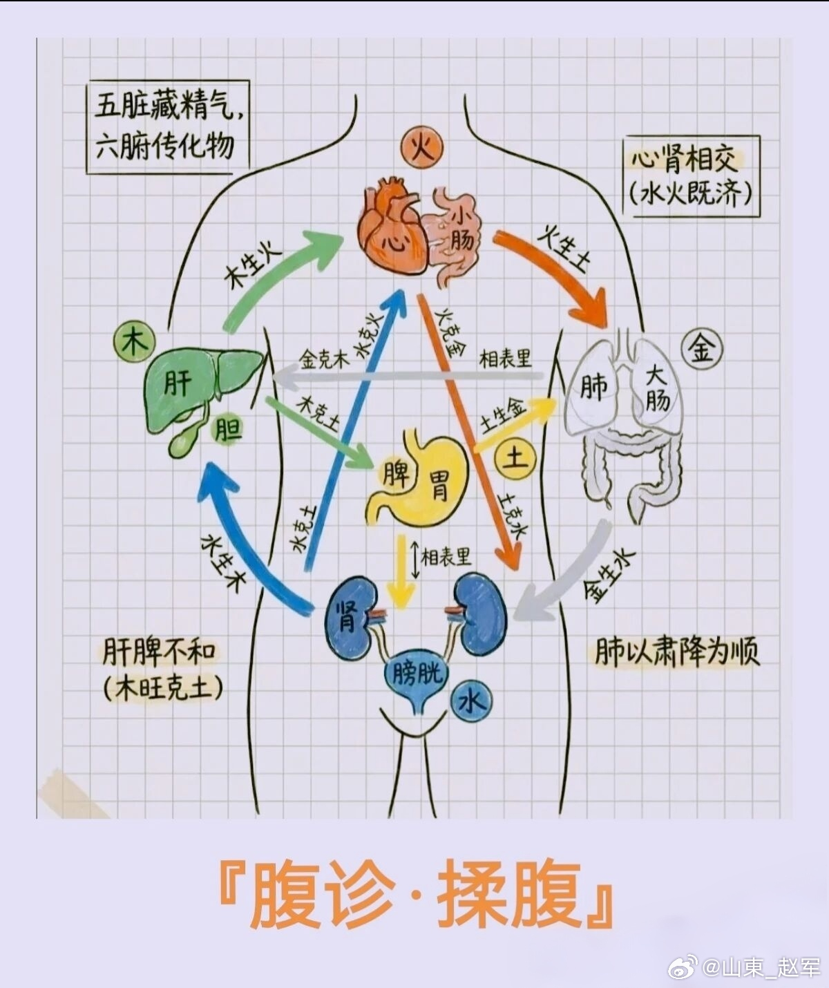 别再只盯着头脑内耗了你肠道褶皱里的宿便从来不止是身体垃圾是没释放的坏情绪是改不掉