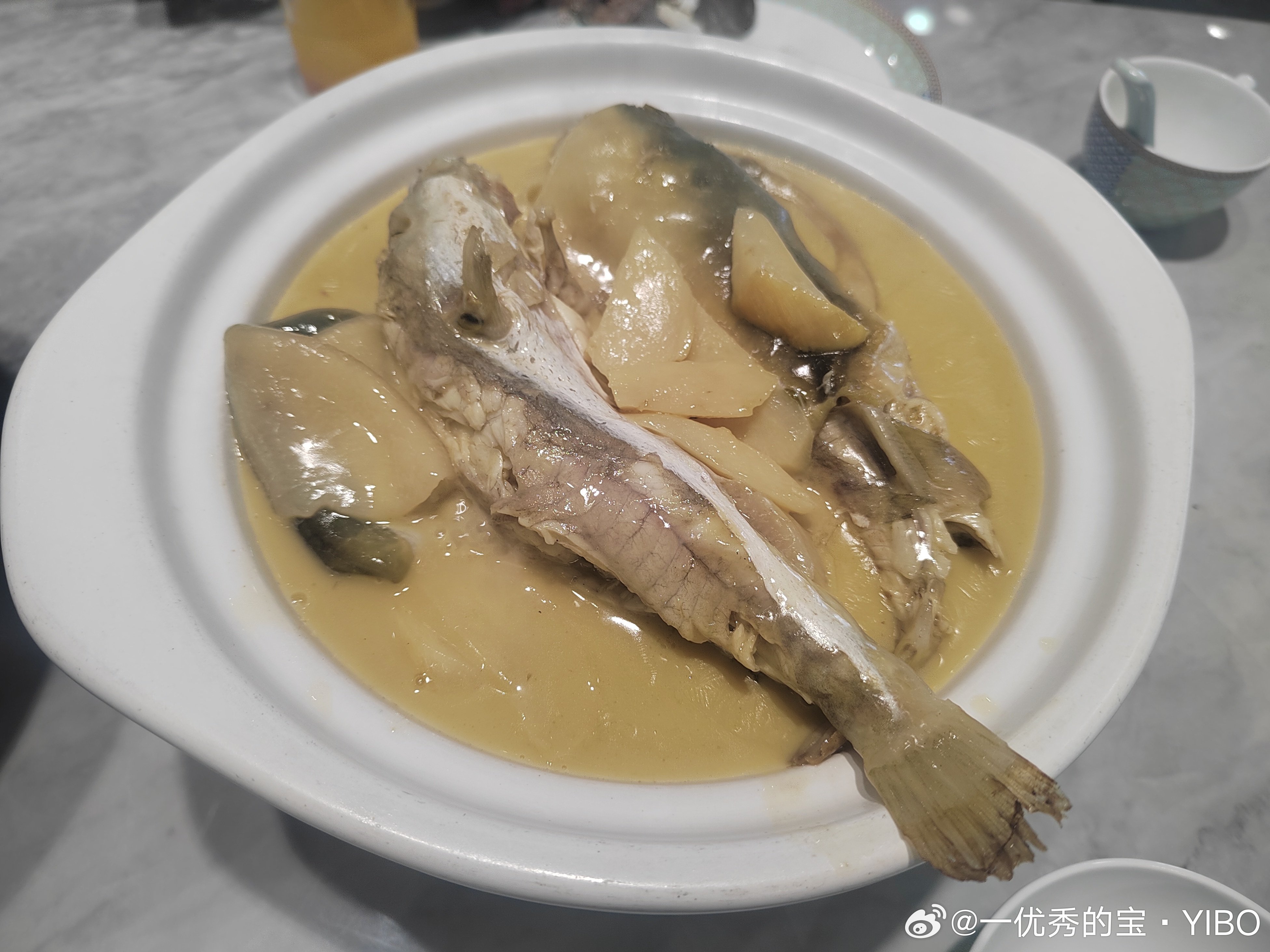 到扬泰地区，必吃河豚啊🐡 泰州