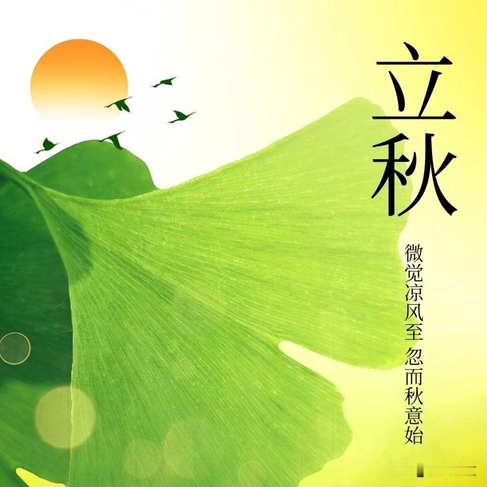 立秋种菜别乱撒籽！吃过亏才懂，就种这3样，出苗旺、秋天吃不完
 

咱农村过日子