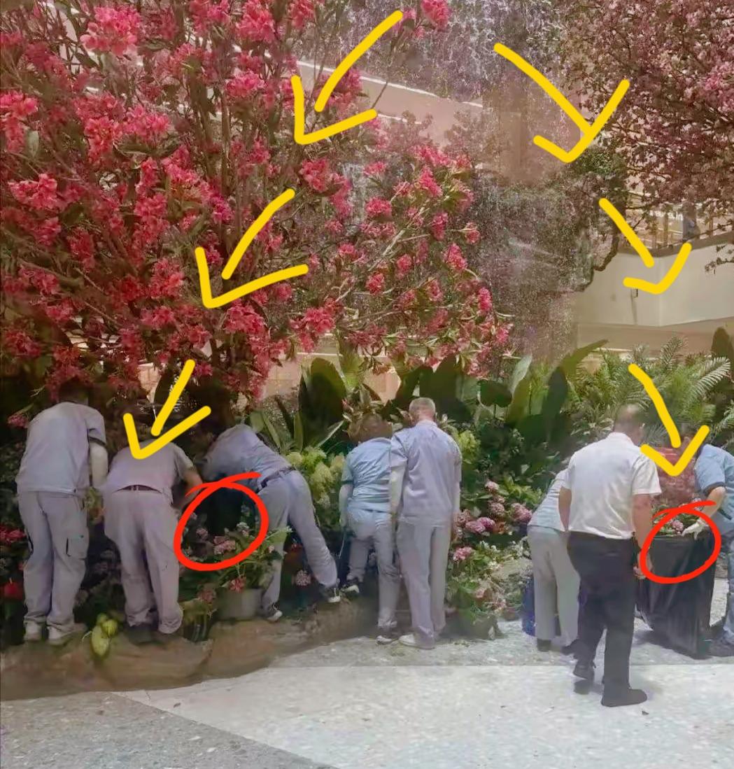 这是闯下了大祸了，现在西安赛格商场的商户，最好是马上找商场老板结清货款，银行马上