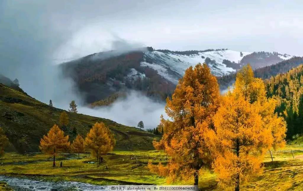 几许眷恋，深冬长夜漫，几许痴缠，何处问婵娟。
　　人生路远，淡暖生欢，试问青春几