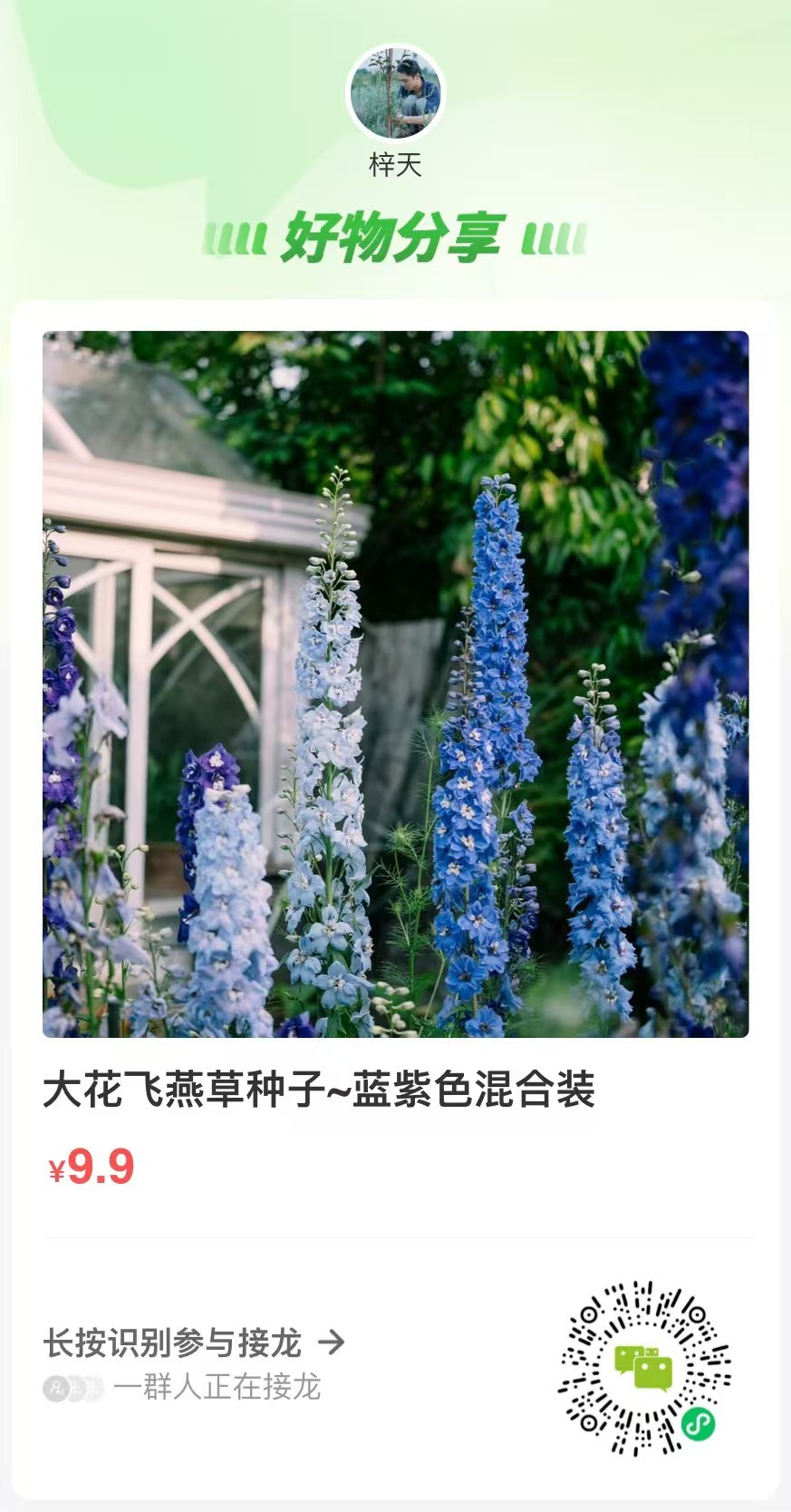 飞燕草是绝对值得种植的一种美丽植物 我通常会在秋天九 十月的时候播种 让它们在露