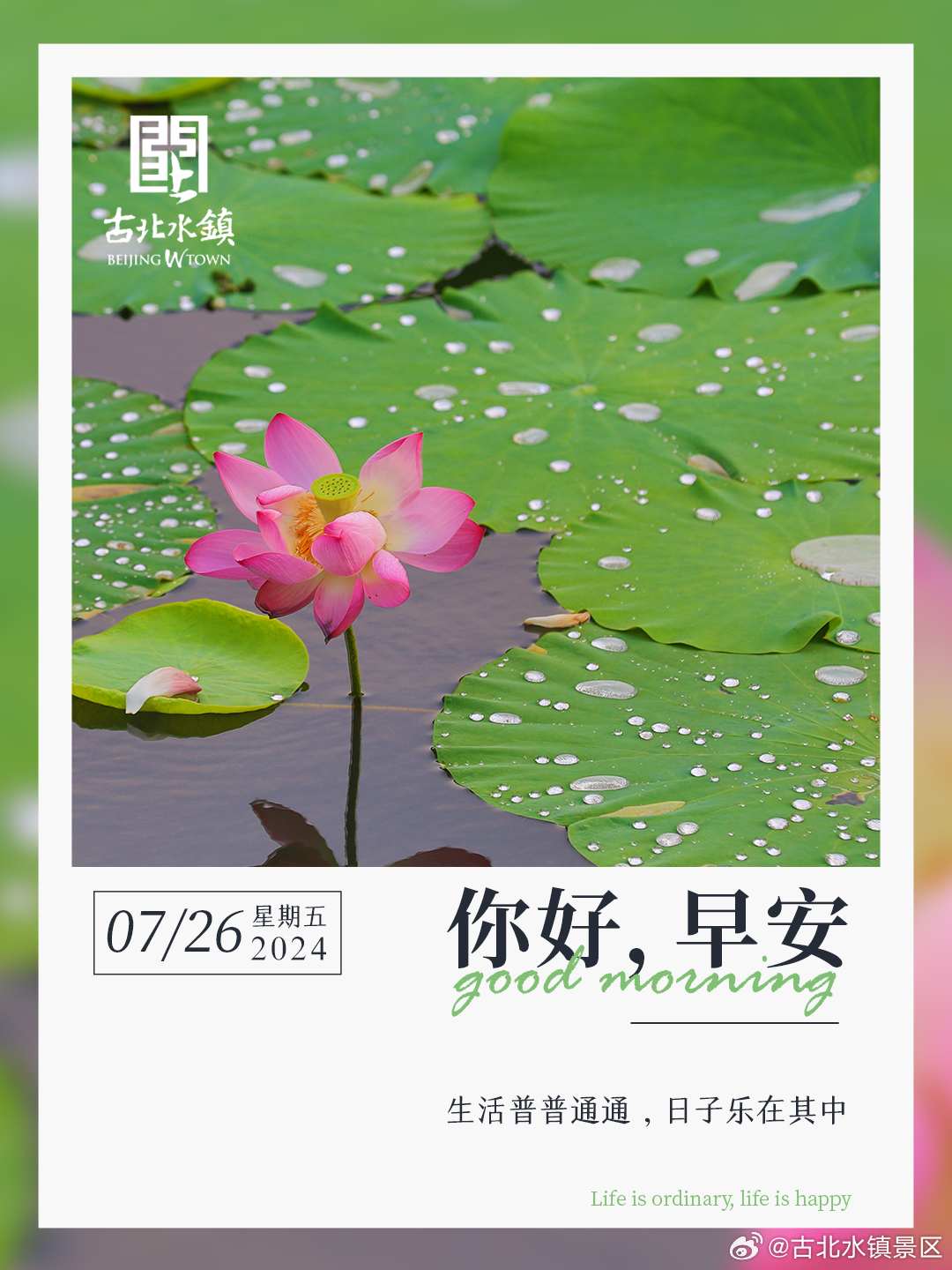 生活普普通通，日子乐在其中早安，宝子们~#很高兴在古北水镇认识你# #出淤泥而不