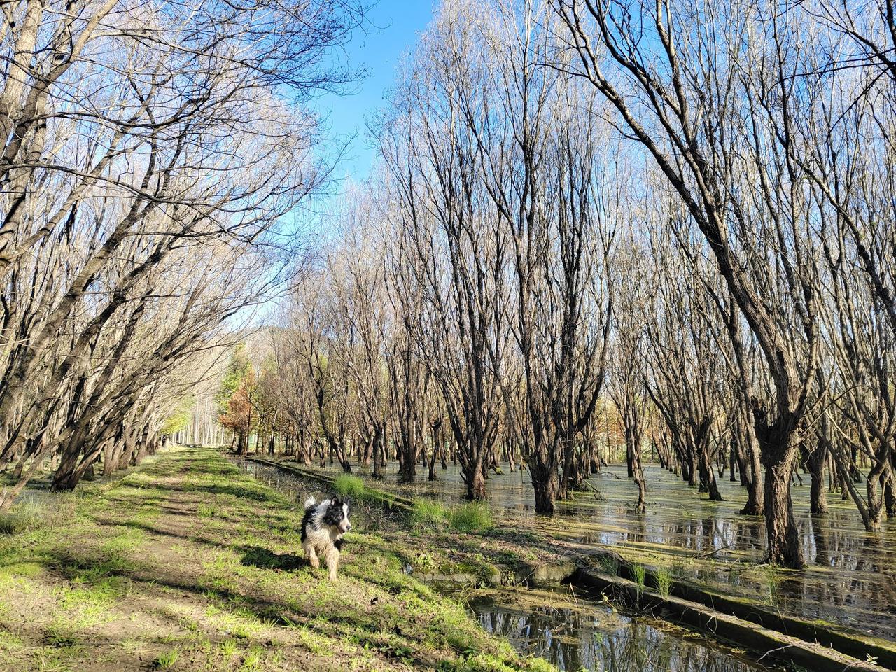 累了迷茫了，就回村吧，回村躺一阵子，等风来！

过去二三十年，农村确实经历了一场
