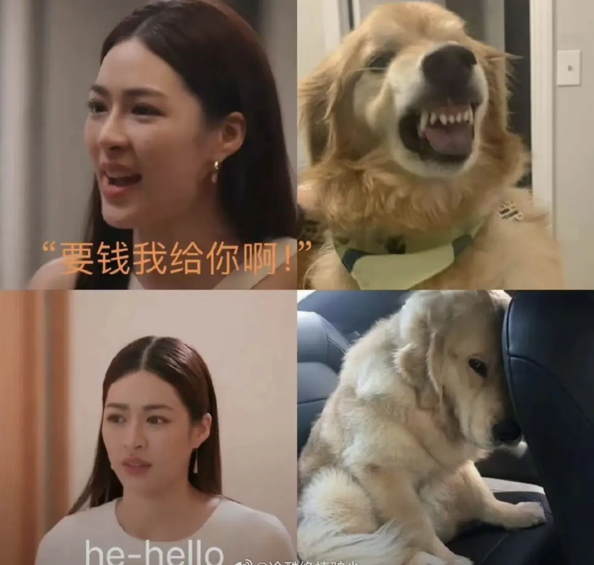 皮莫摁你在干嘛🙉