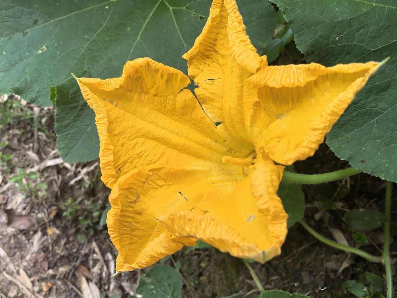 杨姐姐今天给我打了一个电话，我们东拉西扯闲聊了半个多小时，她说都不想在家里待了，