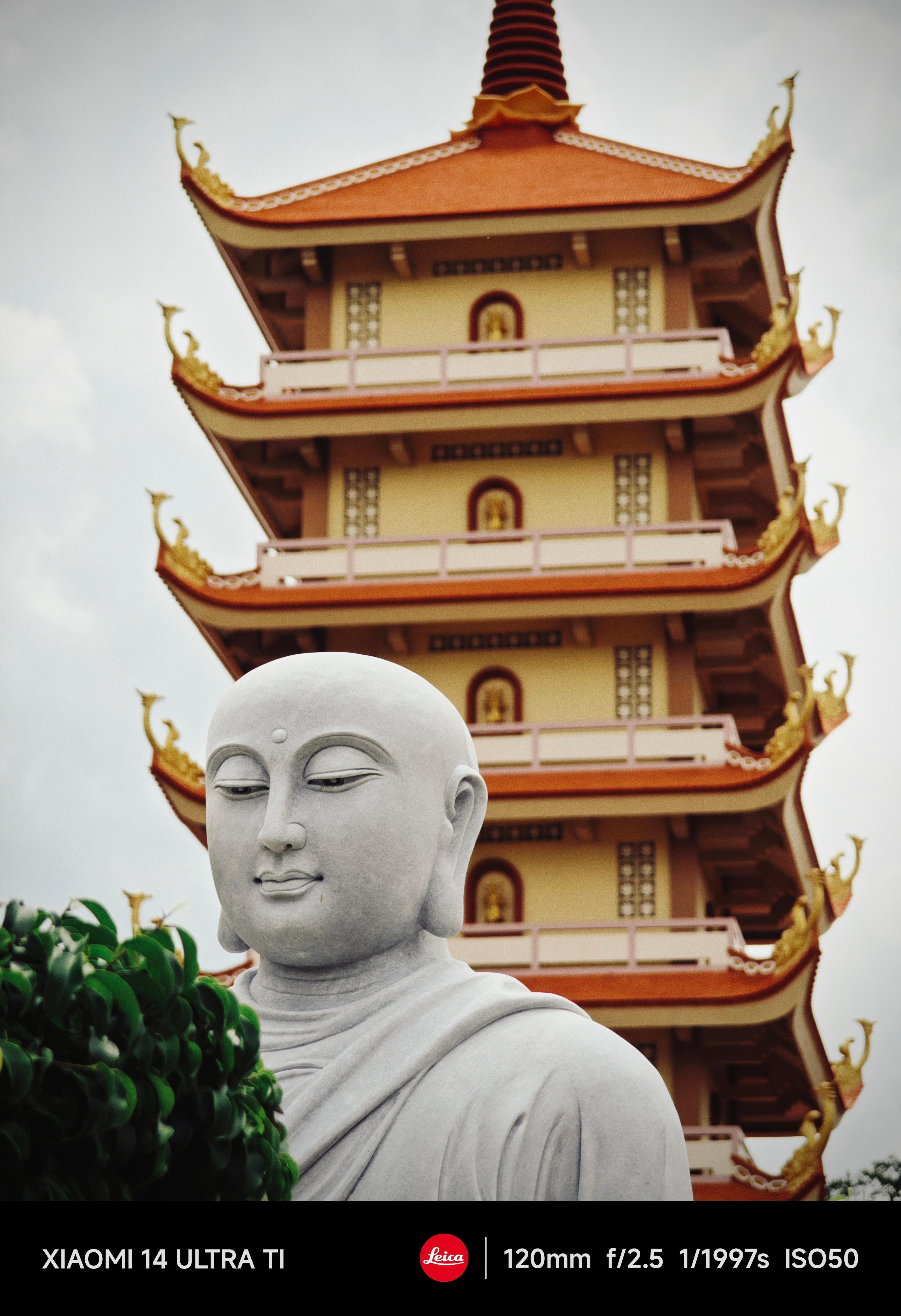 #每天早起打卡#早上好 ​​​