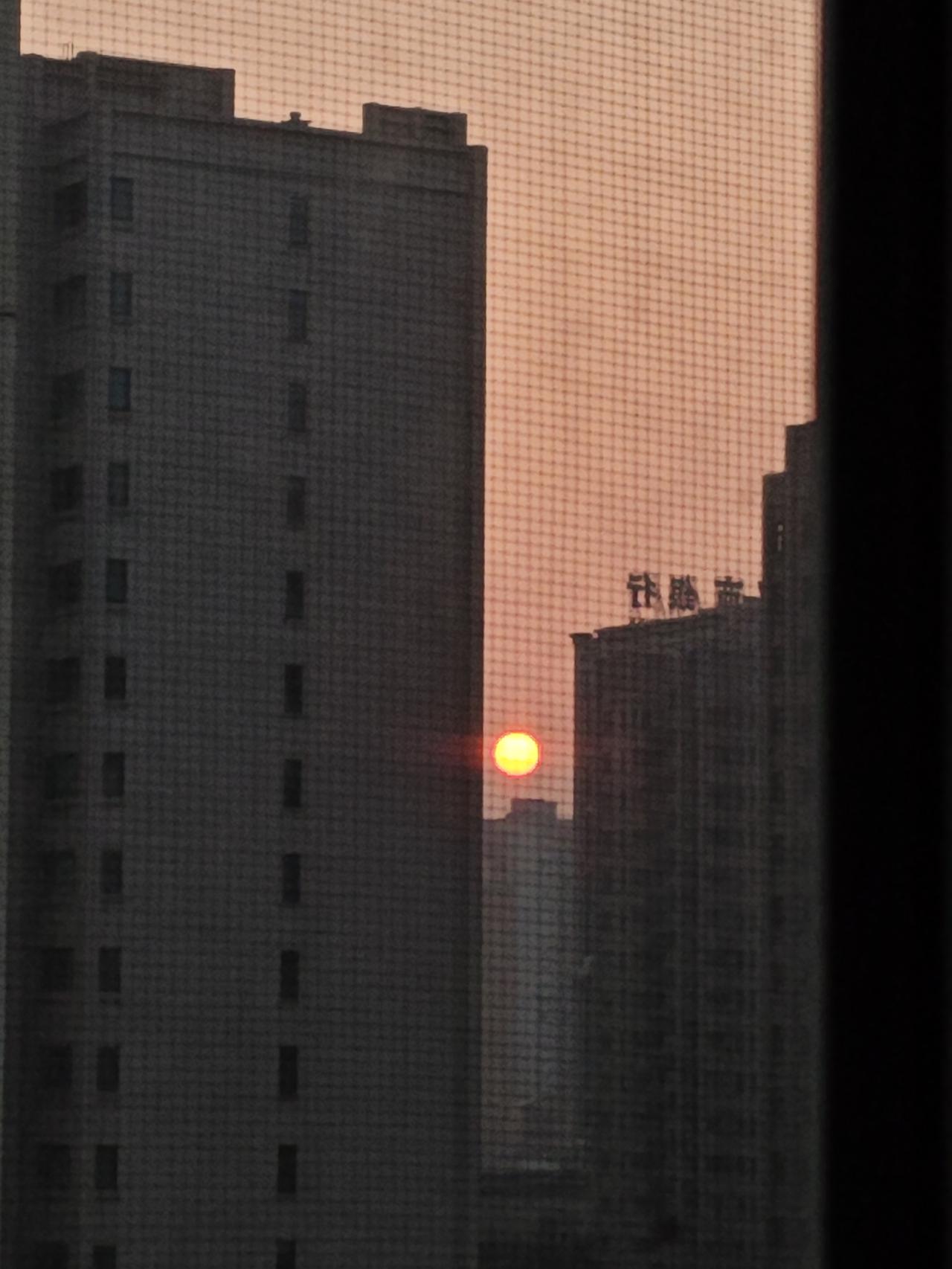 就在刚才，天还没有亮，我正睡地迷迷糊糊，忽然听见有人在喊叫。我睁开眼，侧身一看，