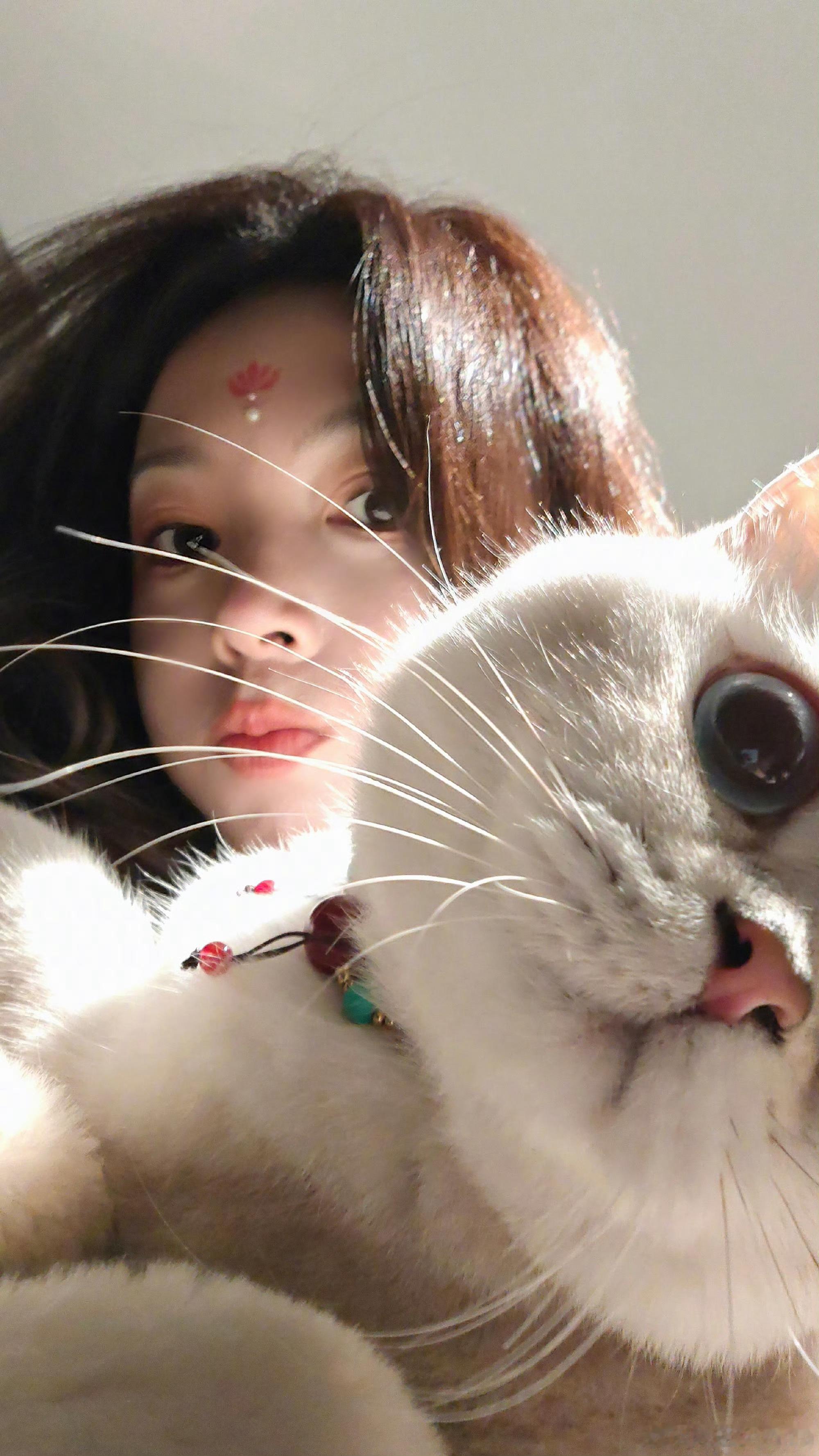 陈瑶猫不出仅展示猫不出可以把人出给我吗[憧憬] ​​​