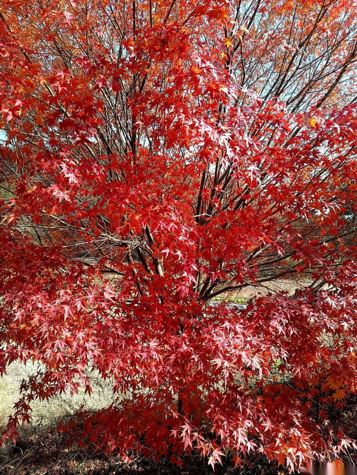 刚才，有那么一瞬间，我感觉呼吸都停了。
真的，不是憋气，就是……忘了。
整个身体