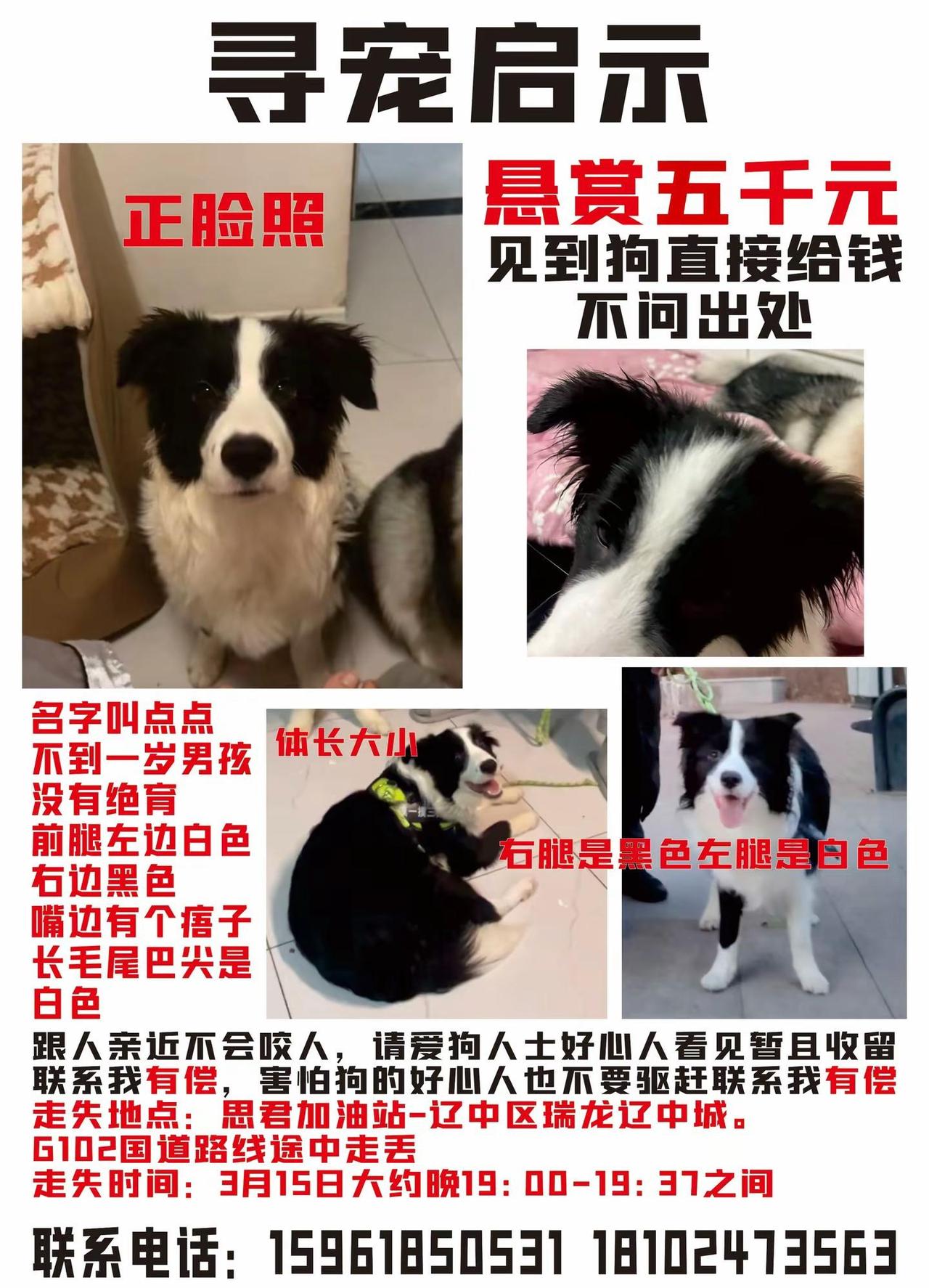 我在沈阳走丢了。您好好心人，我走丢了我很想妈妈，您如果遇见我可以帮助我回家给我妈