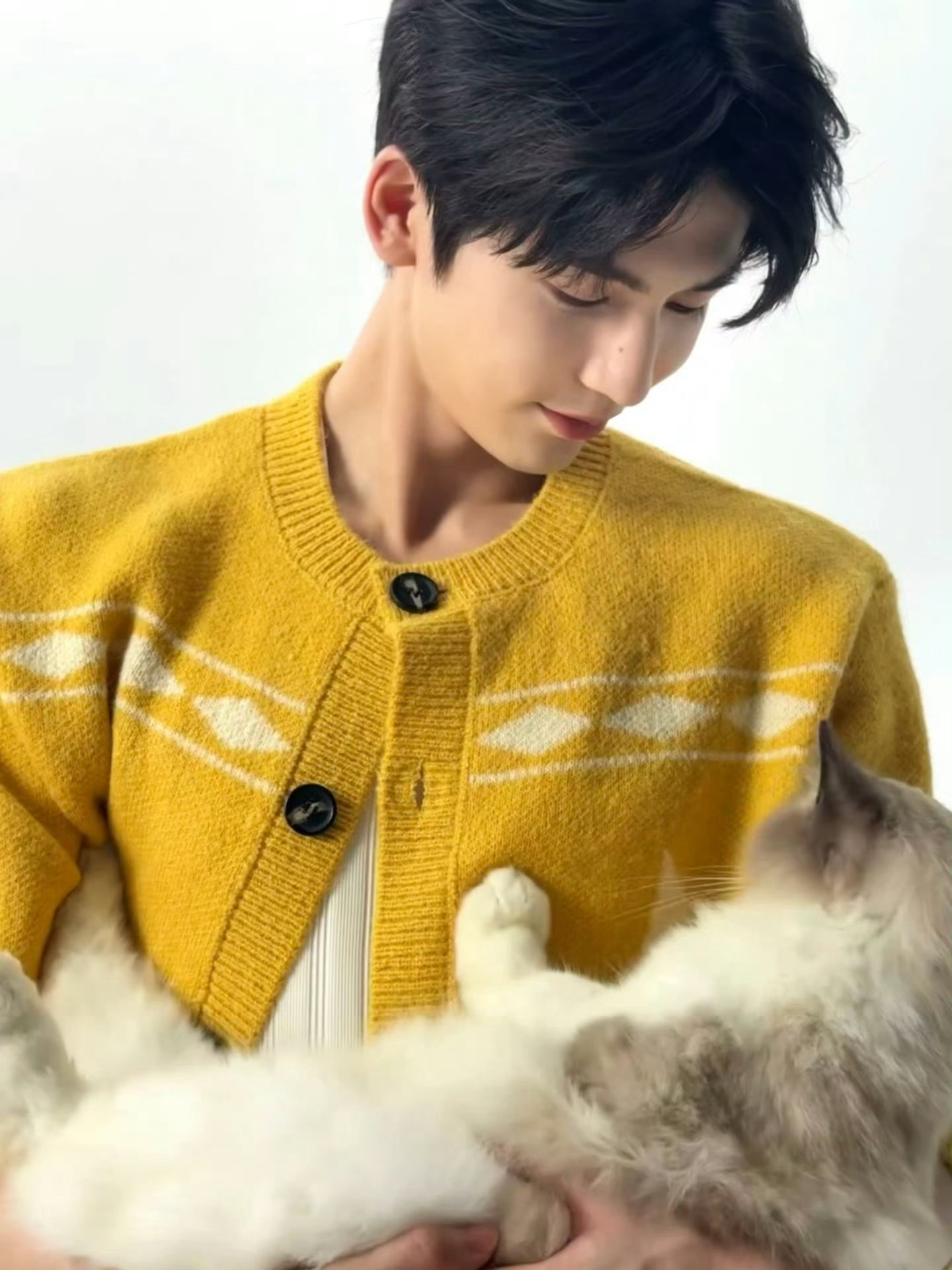 张凌赫和猫狗同框就会自动触发我的星星眼谁懂🥺 早上看点疗愈的… 