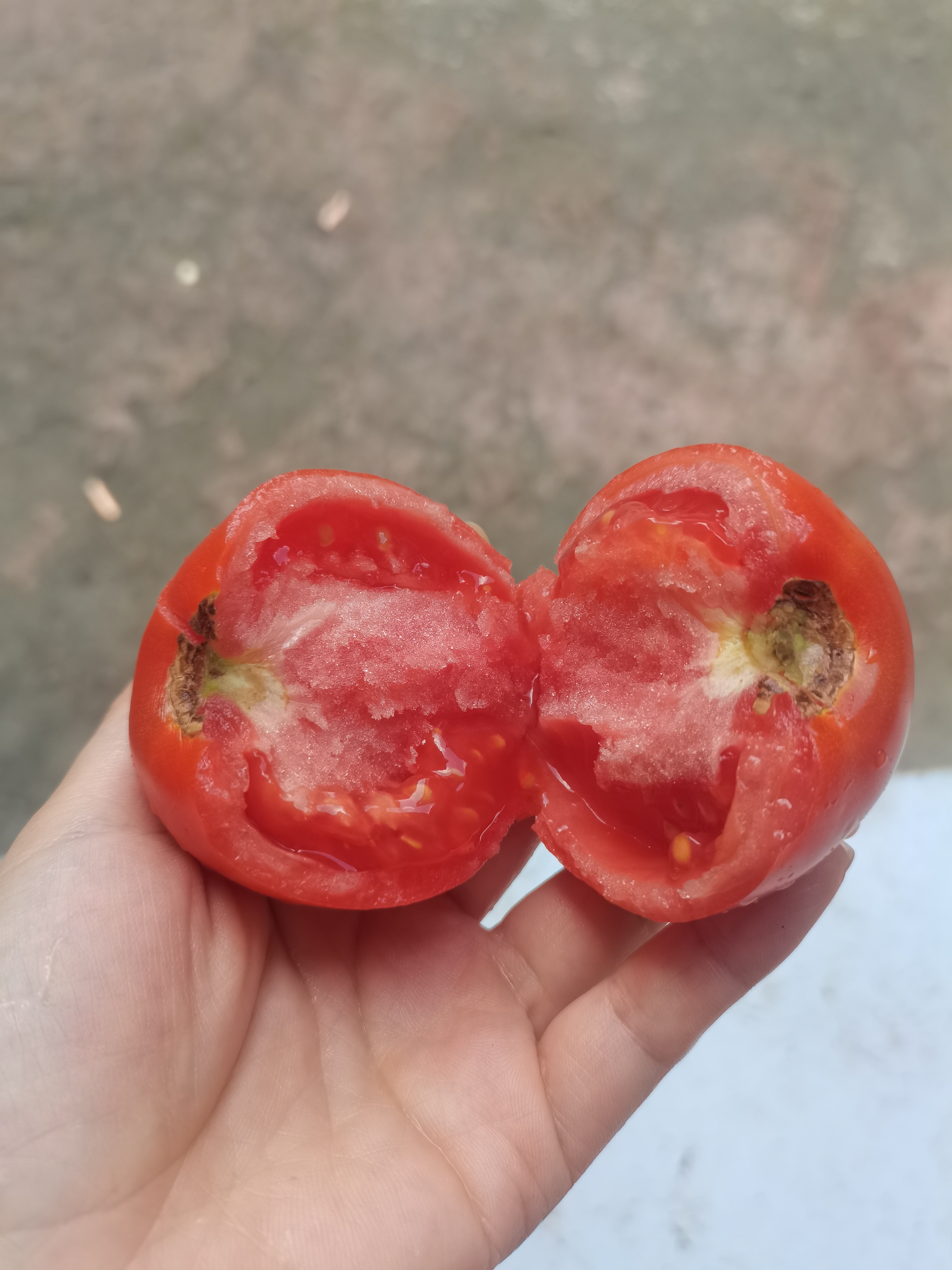吃个西红柿🍅🍅🍅🍅回回神儿，你要要吃吗？生活手记