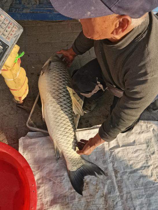 我就说高手在民间~这得羡慕死多少空军大佬~~

周末休息的时候，纯纯是带着孩子溜