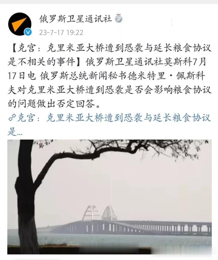 快讯！俄罗斯宣布中止黑海粮食外运协议

据俄罗斯卫星通讯社17日晚间刚刚发布的消