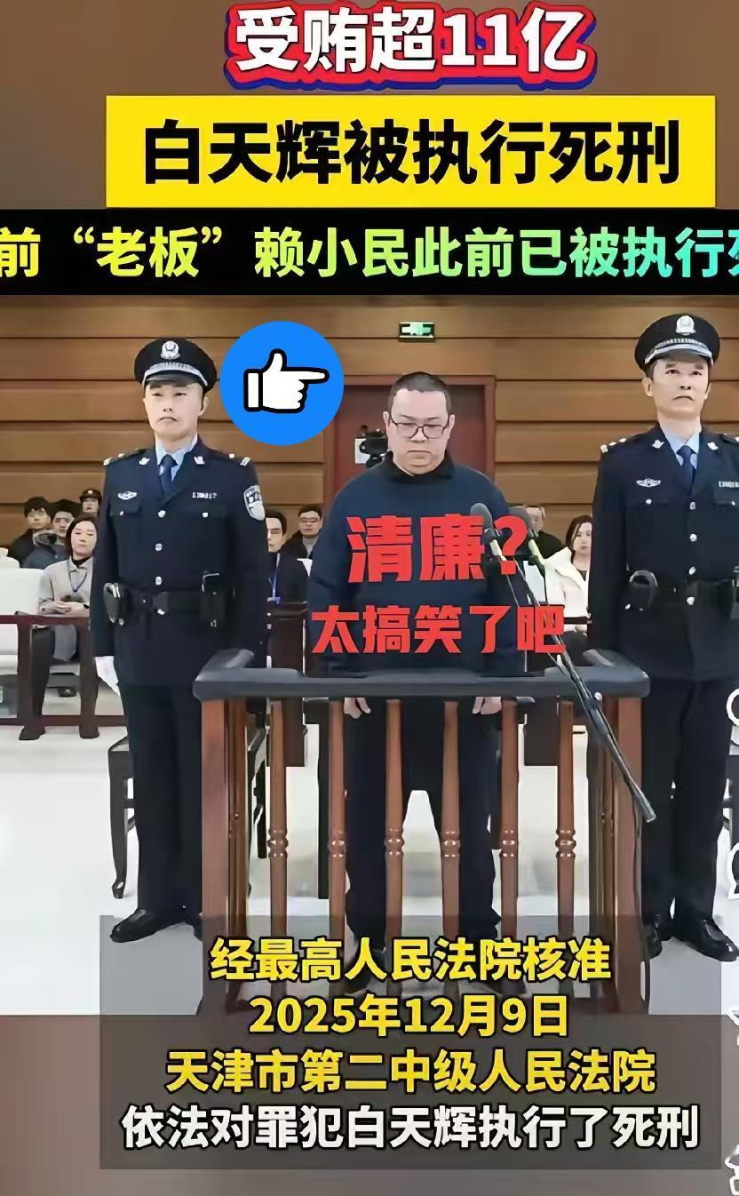 如果不是亲自去查，
我是打死也不敢相信
白天辉在香港豪宅的衣柜夹层中，藏有三本账