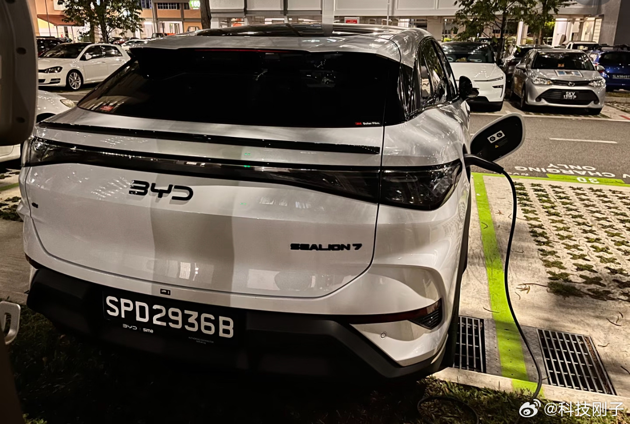 用实力助力全球绿色出行，新加坡严苛的准入标准下，比亚迪以乘商双线全胜，交出极具分