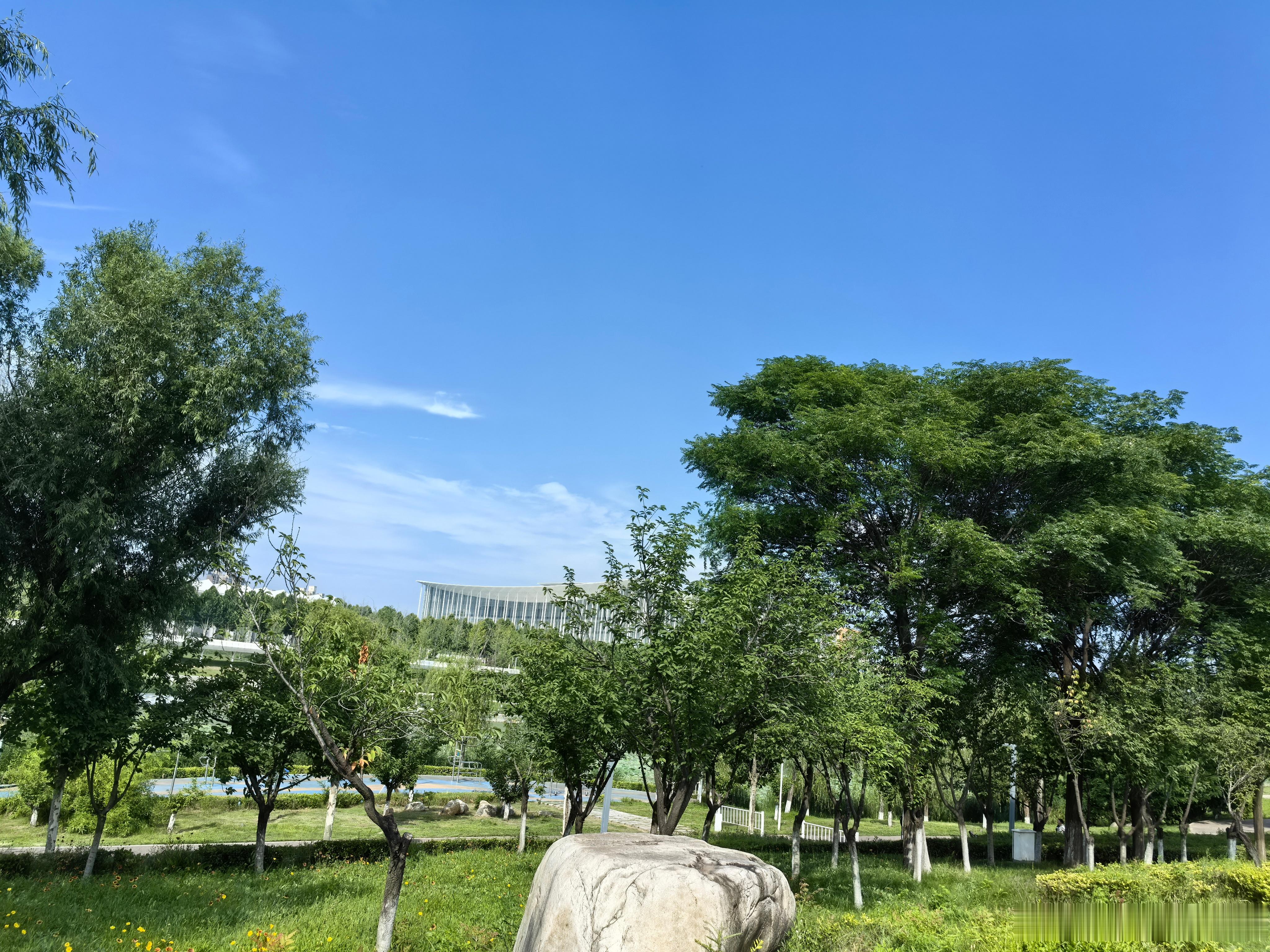 随手拍美景  荣儿的日常 风穿过芦苇，云漫过湖面☁️闹市旁的一隅青绿是夏天最舒服