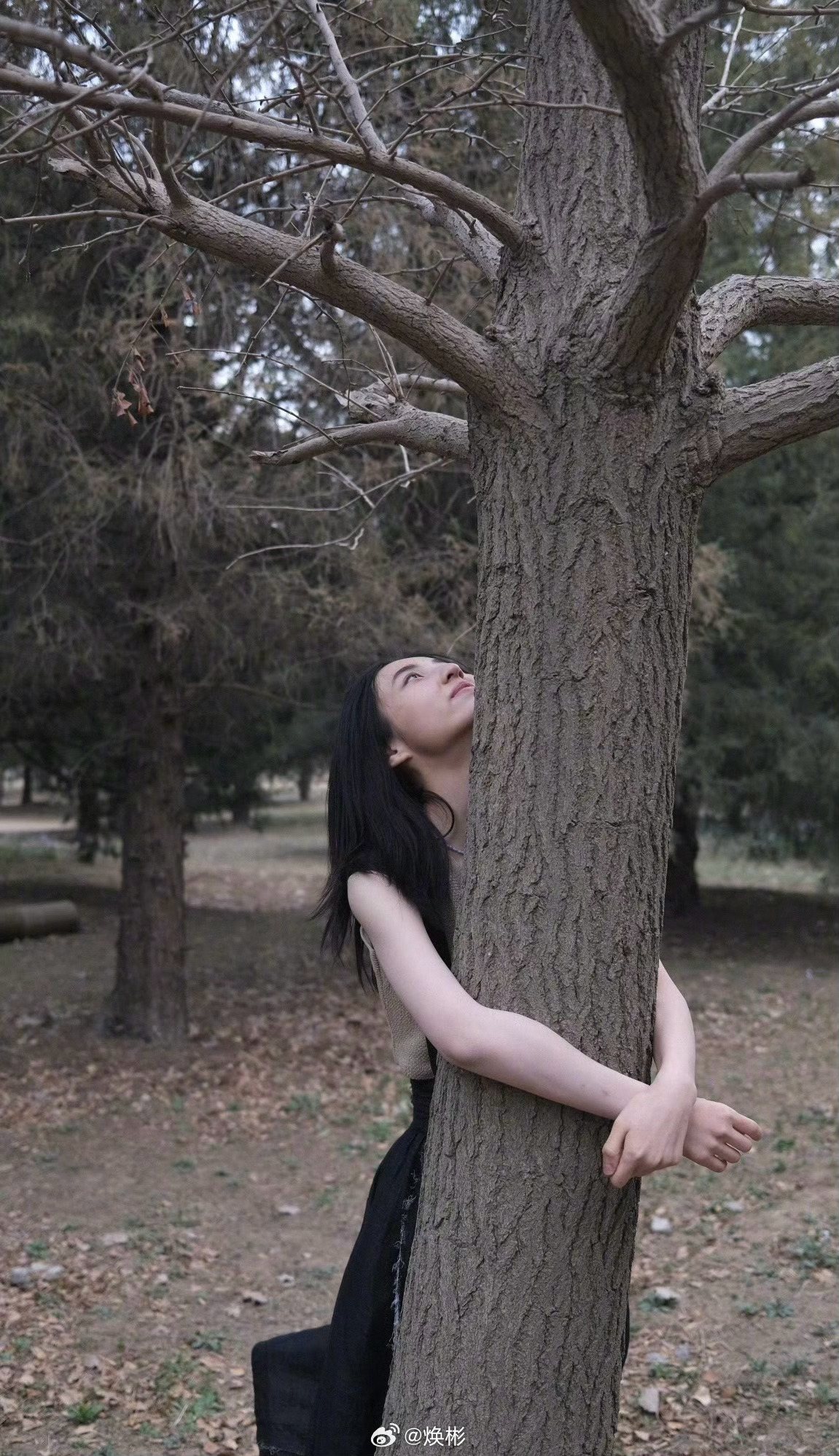 如果有来生，大彬子要做一棵树，站成永恒的姿势，让张子枫这样永远的抱着！（做只狗子