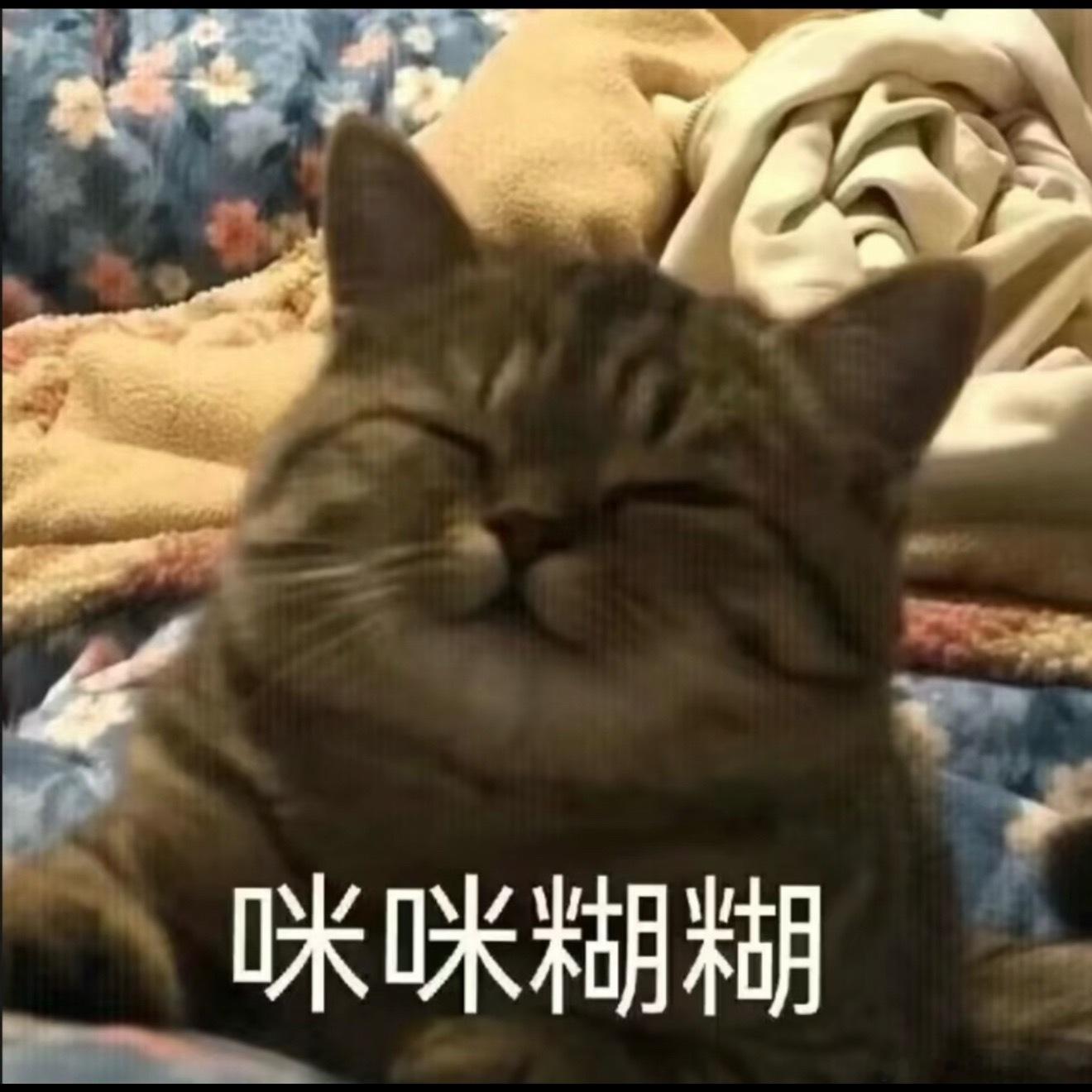 早晨睡醒，白切黑跟我说困，还有点累，睡不醒。我：“你昨天带着我骑了十多公里自行车