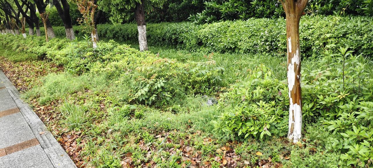 说“房价下跌大家更不敢买房”就是瞎扯。房价下跌主要是炒房客资金撤离，说明房产无利