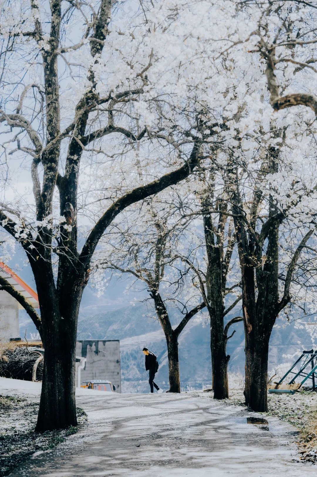 川西春季限定版路线
