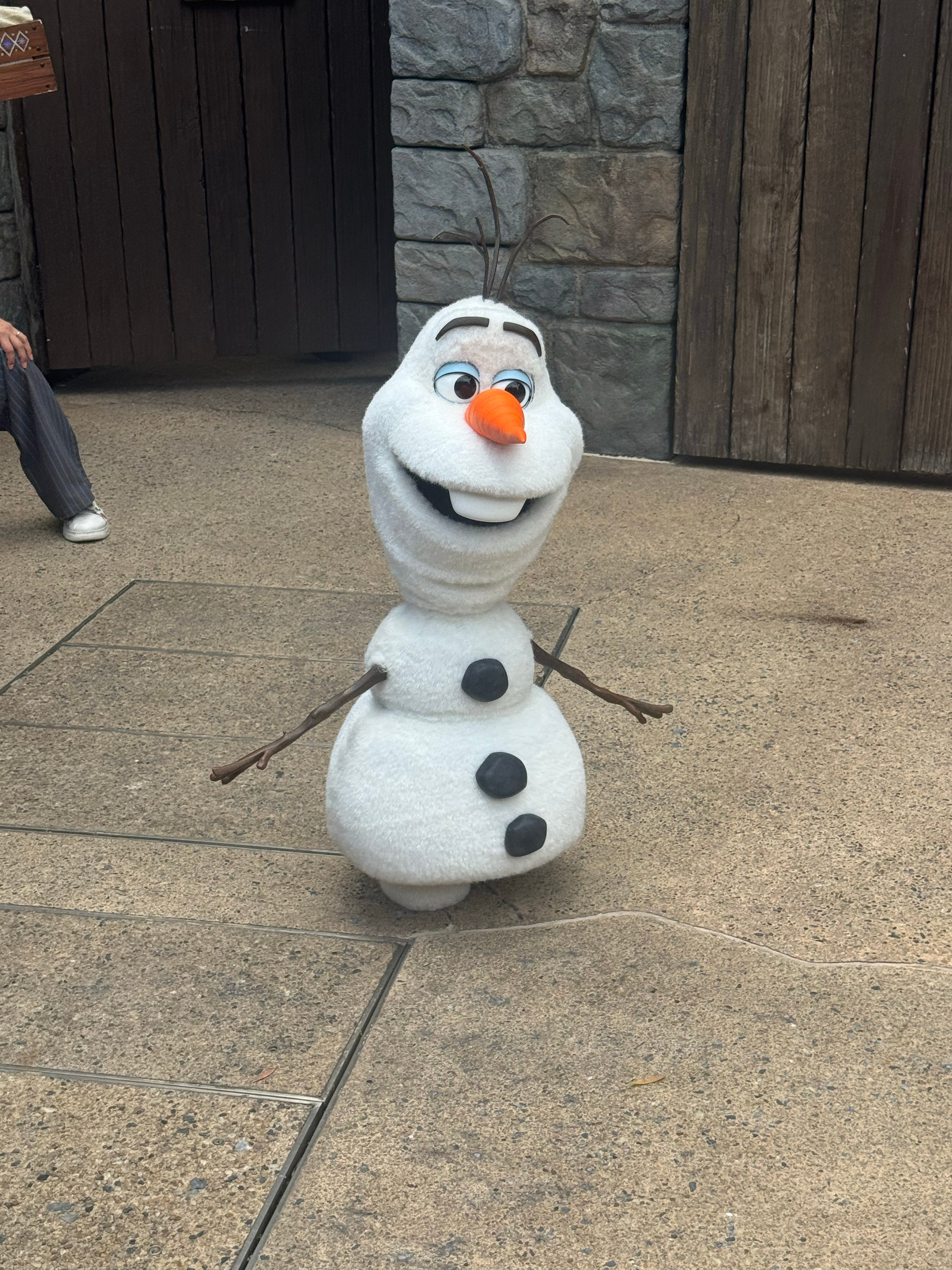 这个雪宝就跟真的一样