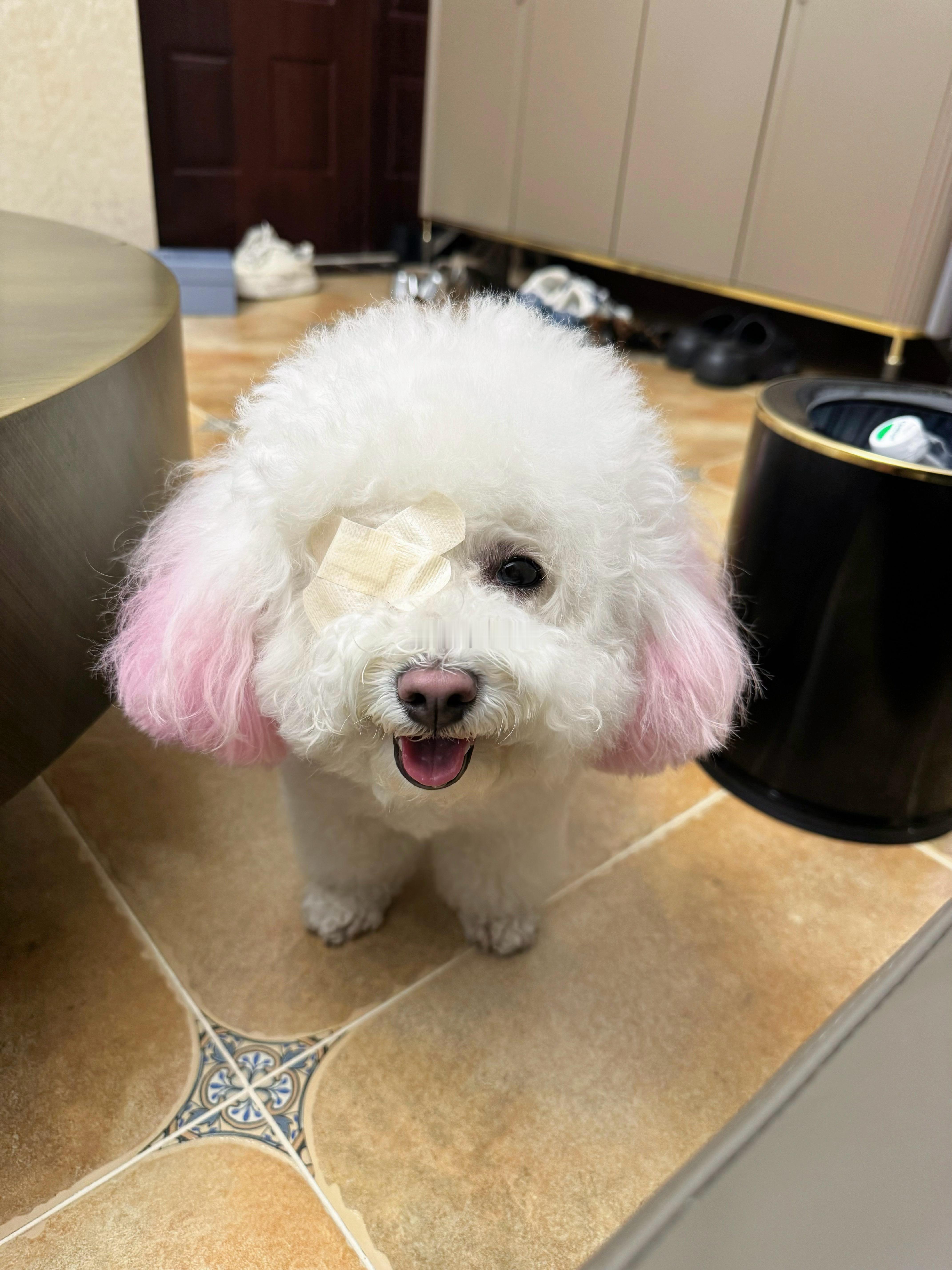 小东西眼睛过敏了 哈哈哈哈 ​​​